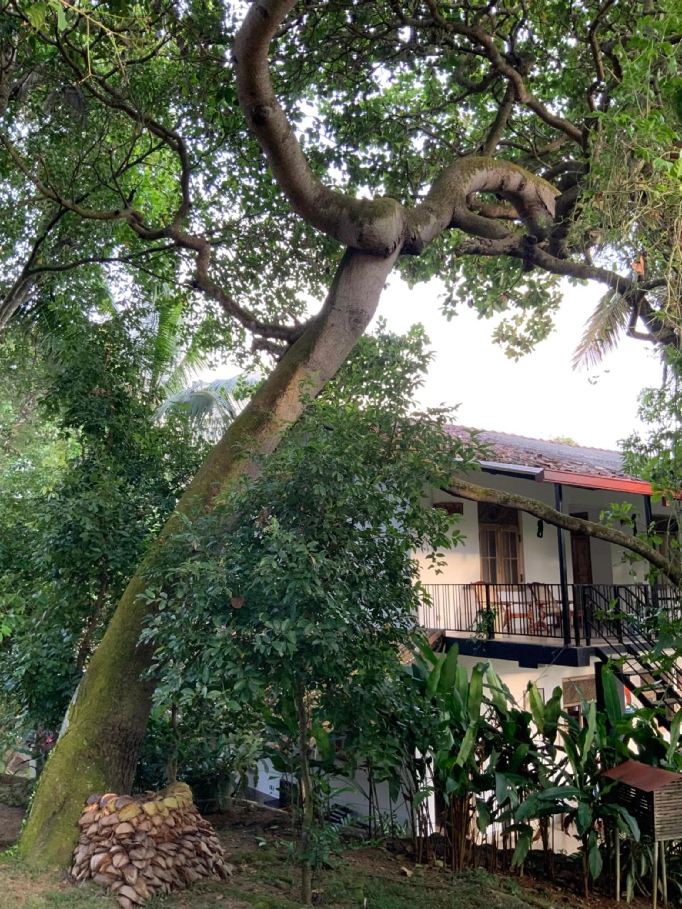 Property building in Lali Villa & Fruit Garden