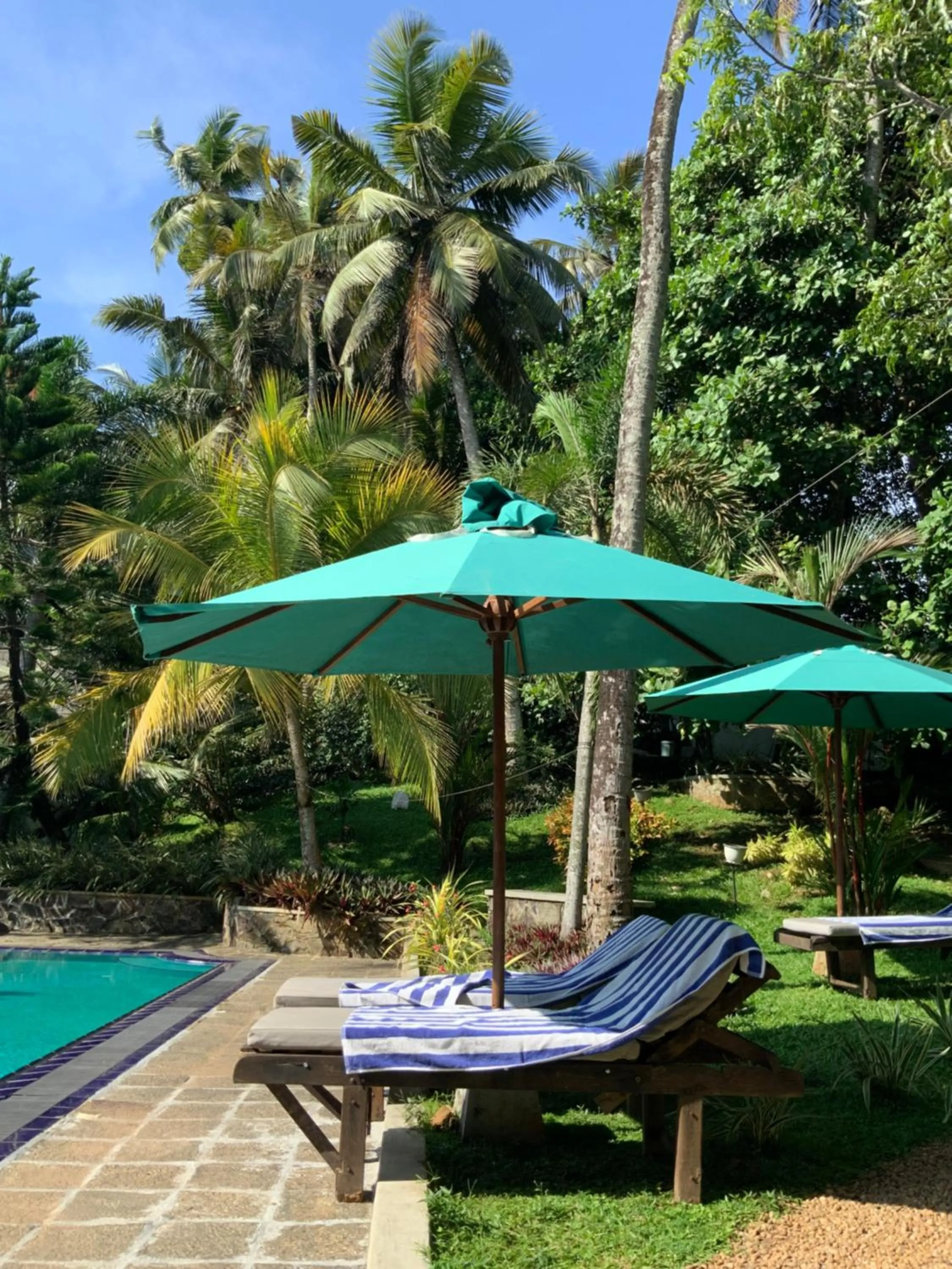 Swimming pool in Lali Villa & Fruit Garden