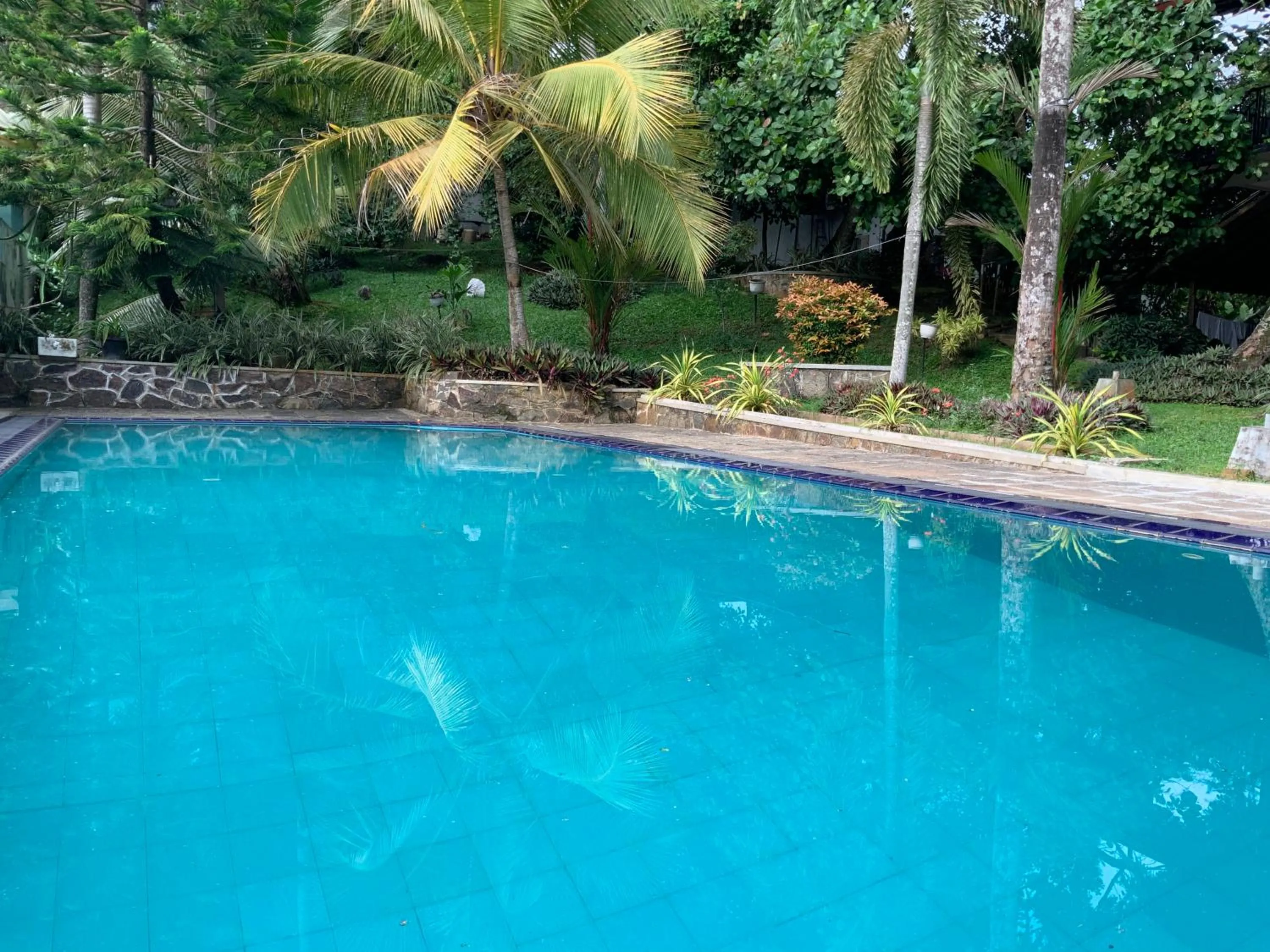 Garden view in Lali Villa & Fruit Garden