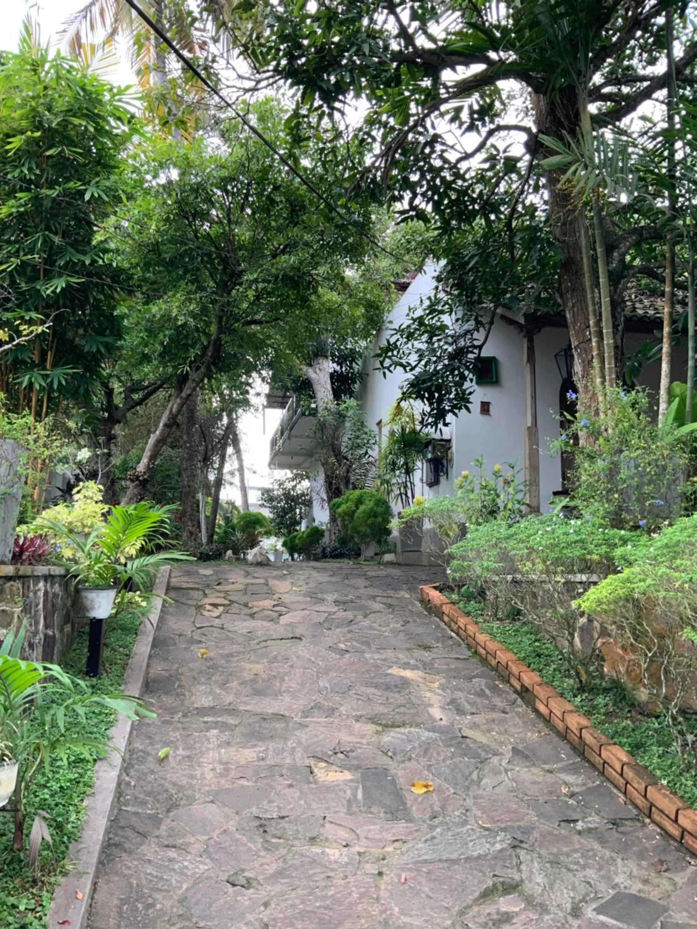Natural landscape in Lali Villa & Fruit Garden