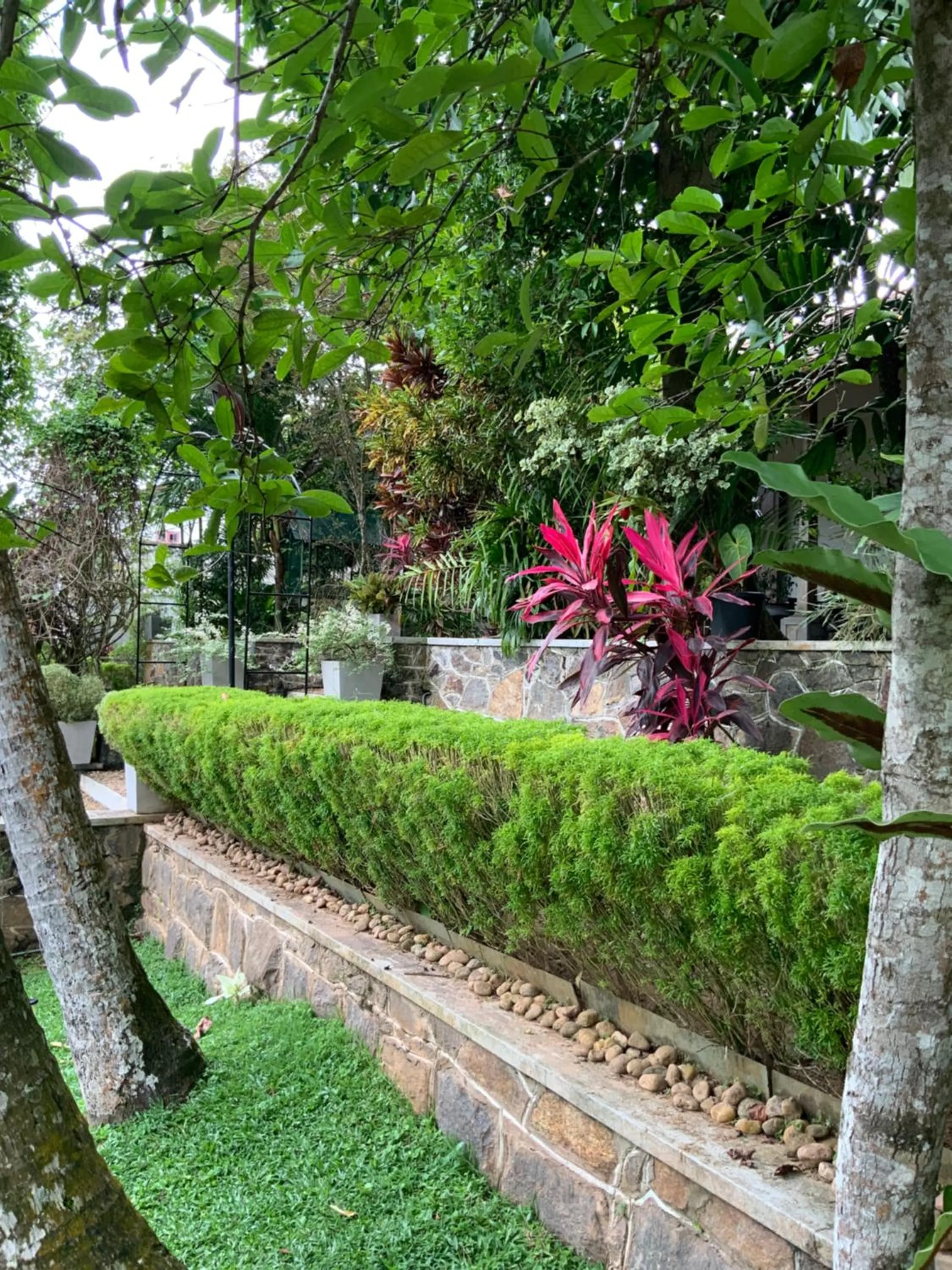 Garden in Lali Villa & Fruit Garden