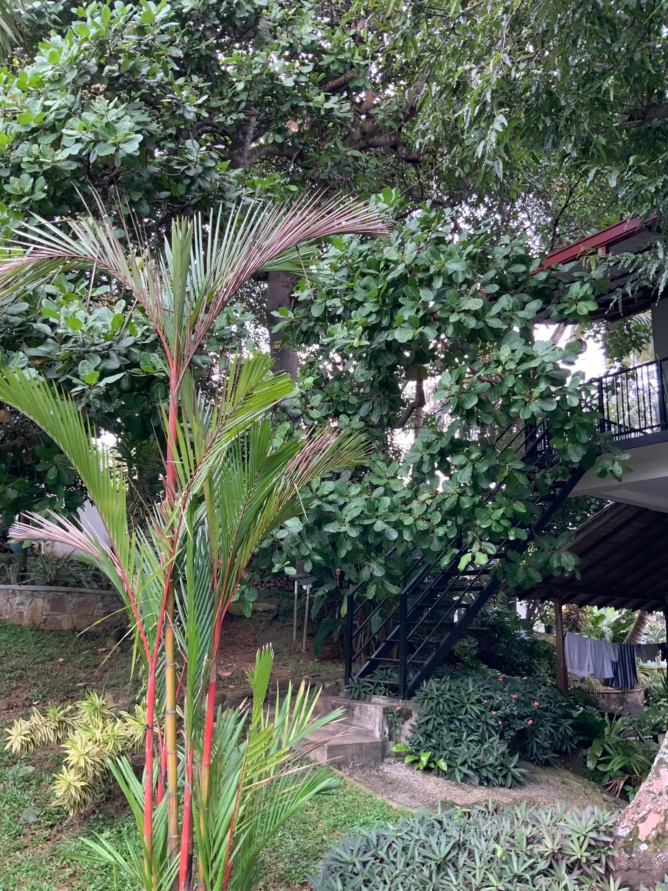 Garden in Lali Villa & Fruit Garden