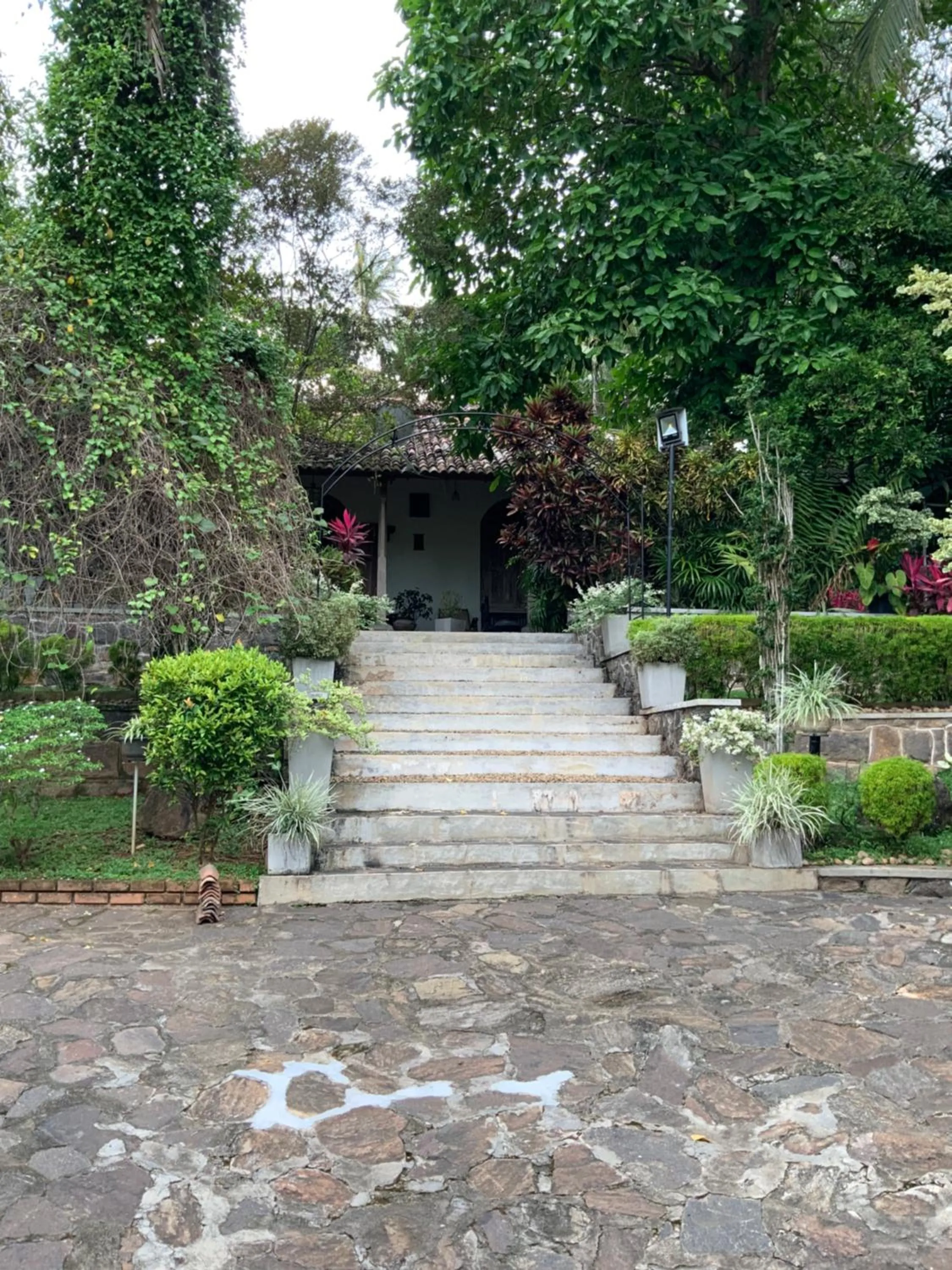 Garden in Lali Villa & Fruit Garden