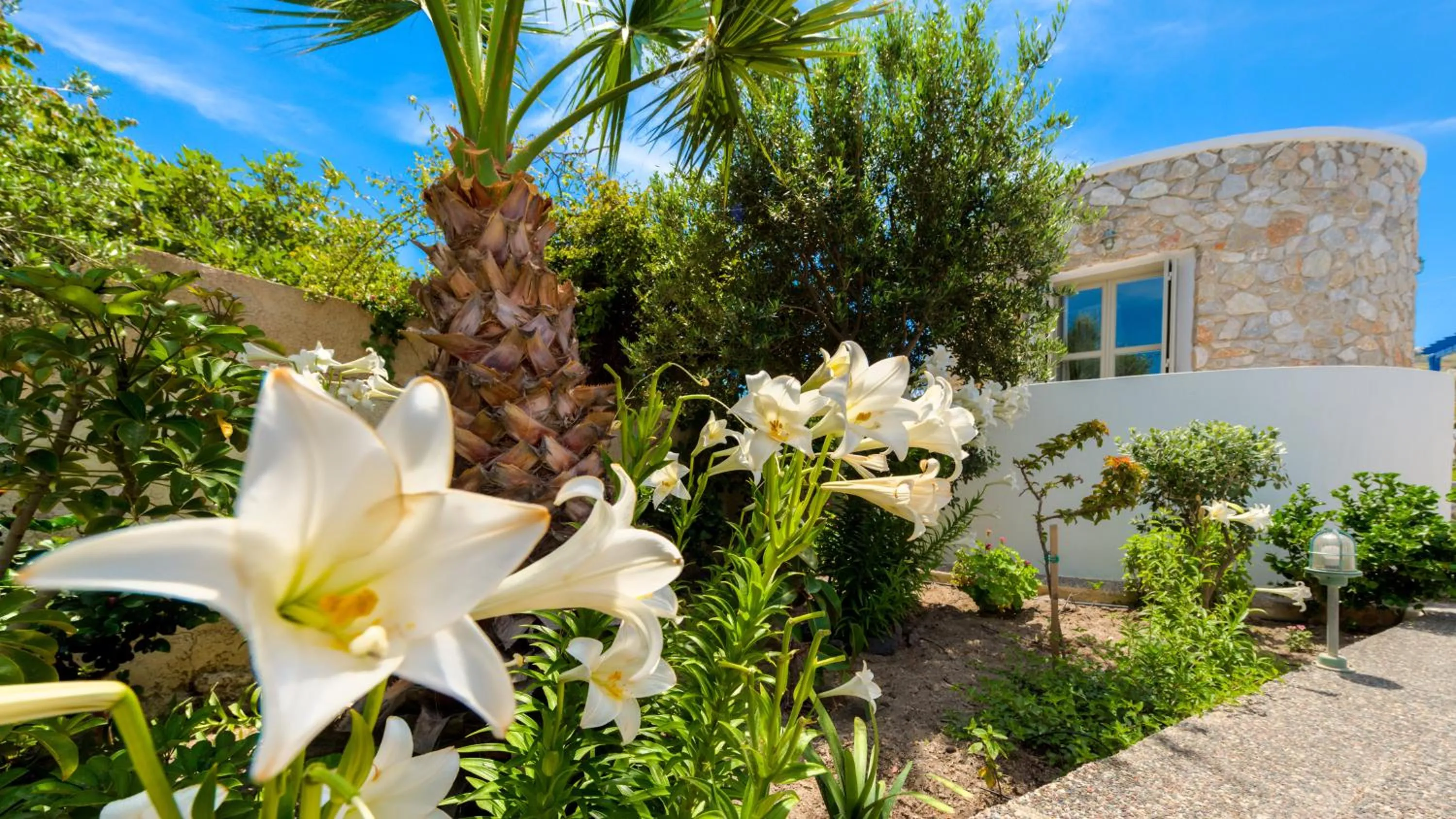 Garden in Hotel Mathios