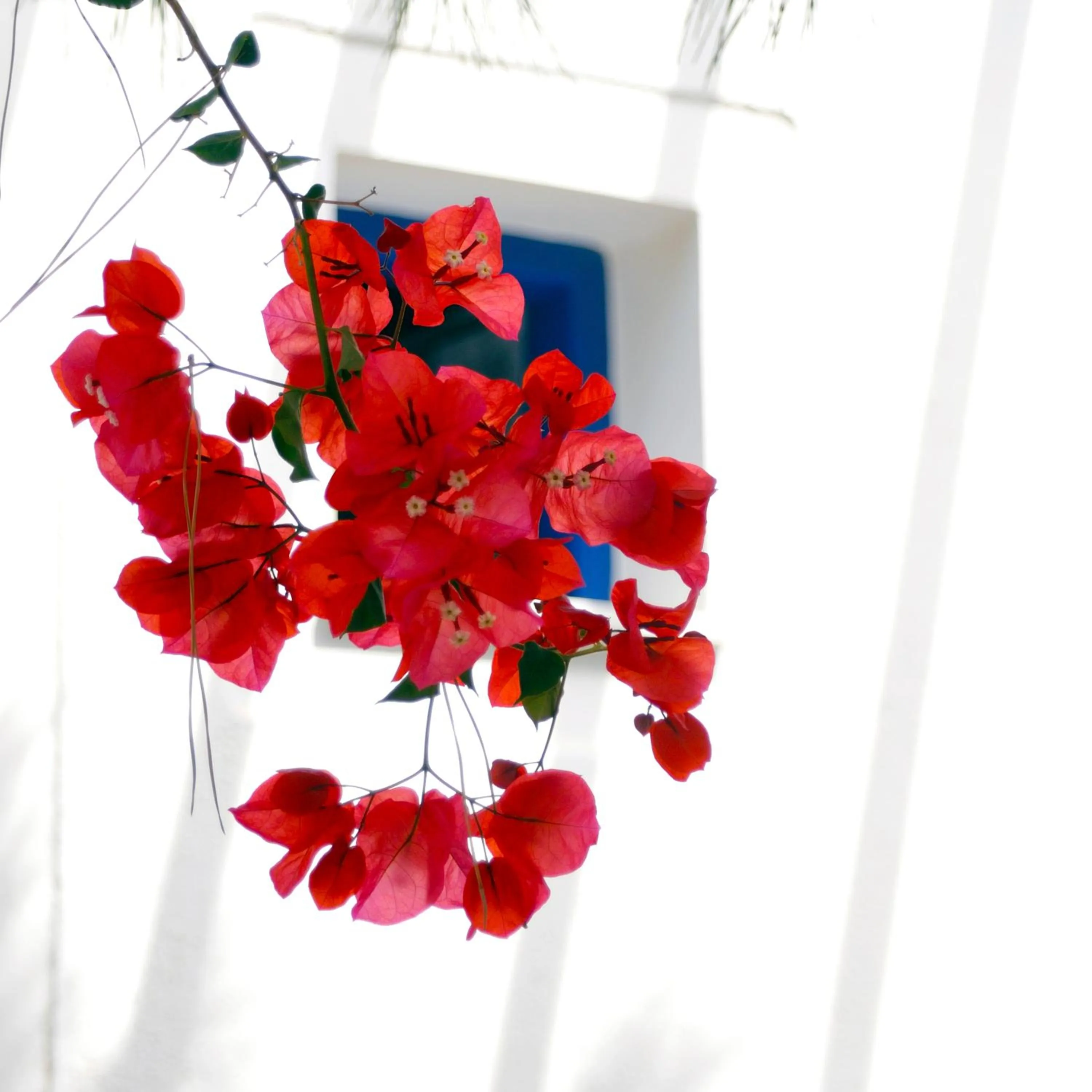 Other in Hotel Mathios