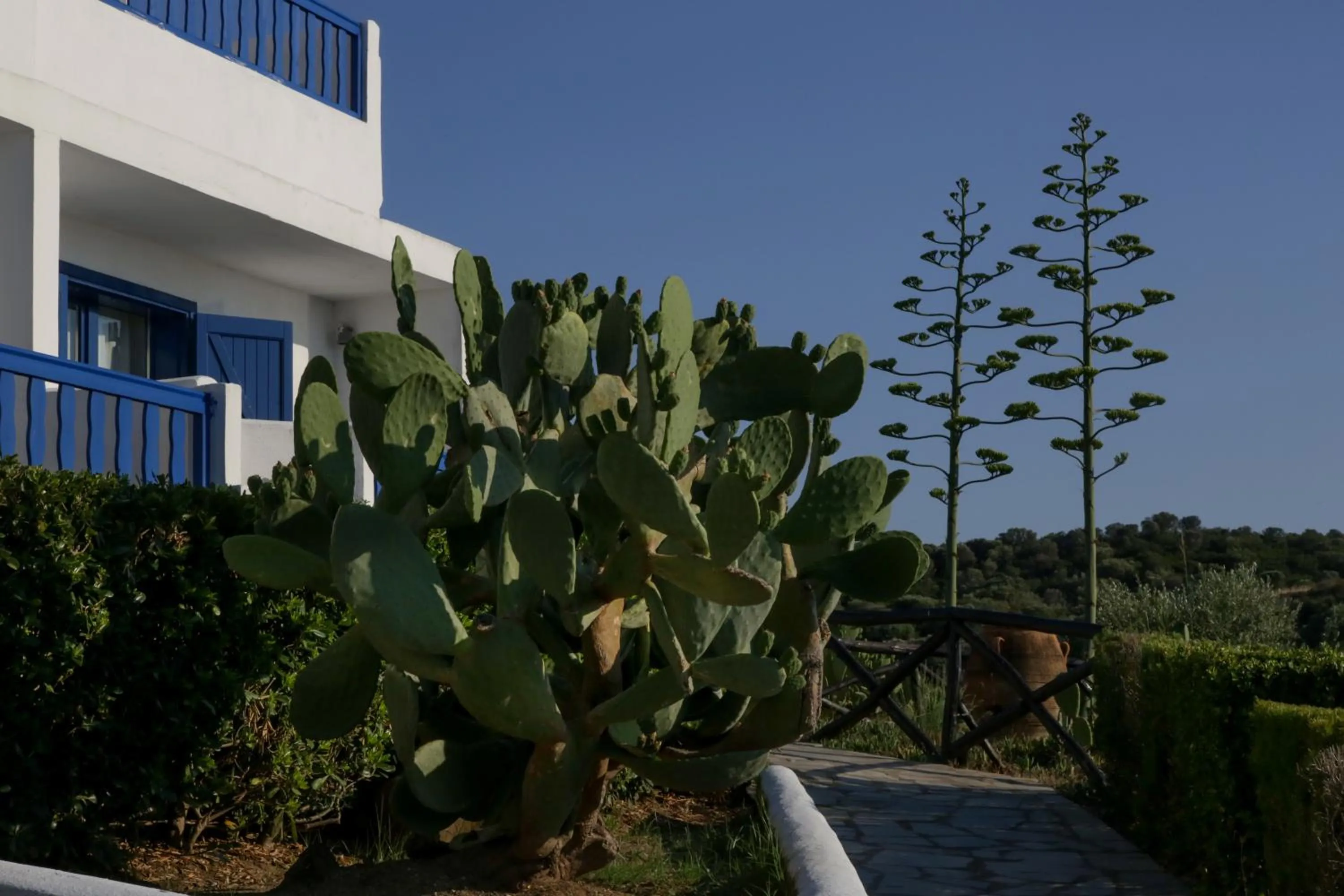 Property building in Agionissi Resort