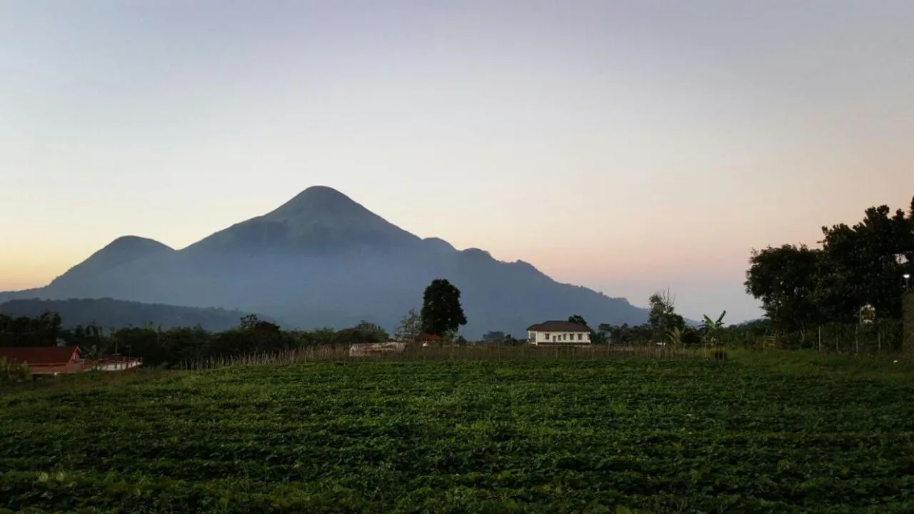 View (from property/room) in Avila Ketapan Rame Hotel