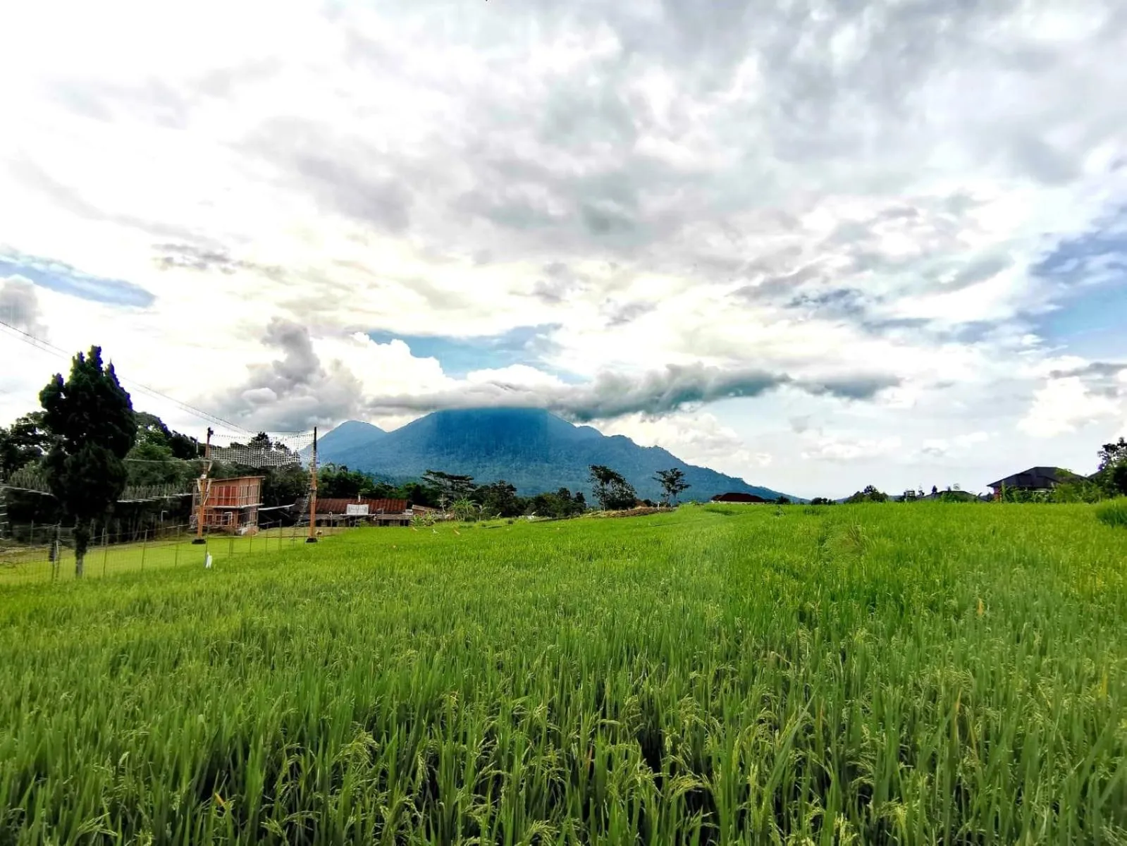 Natural landscape in Avila Ketapan Rame Hotel