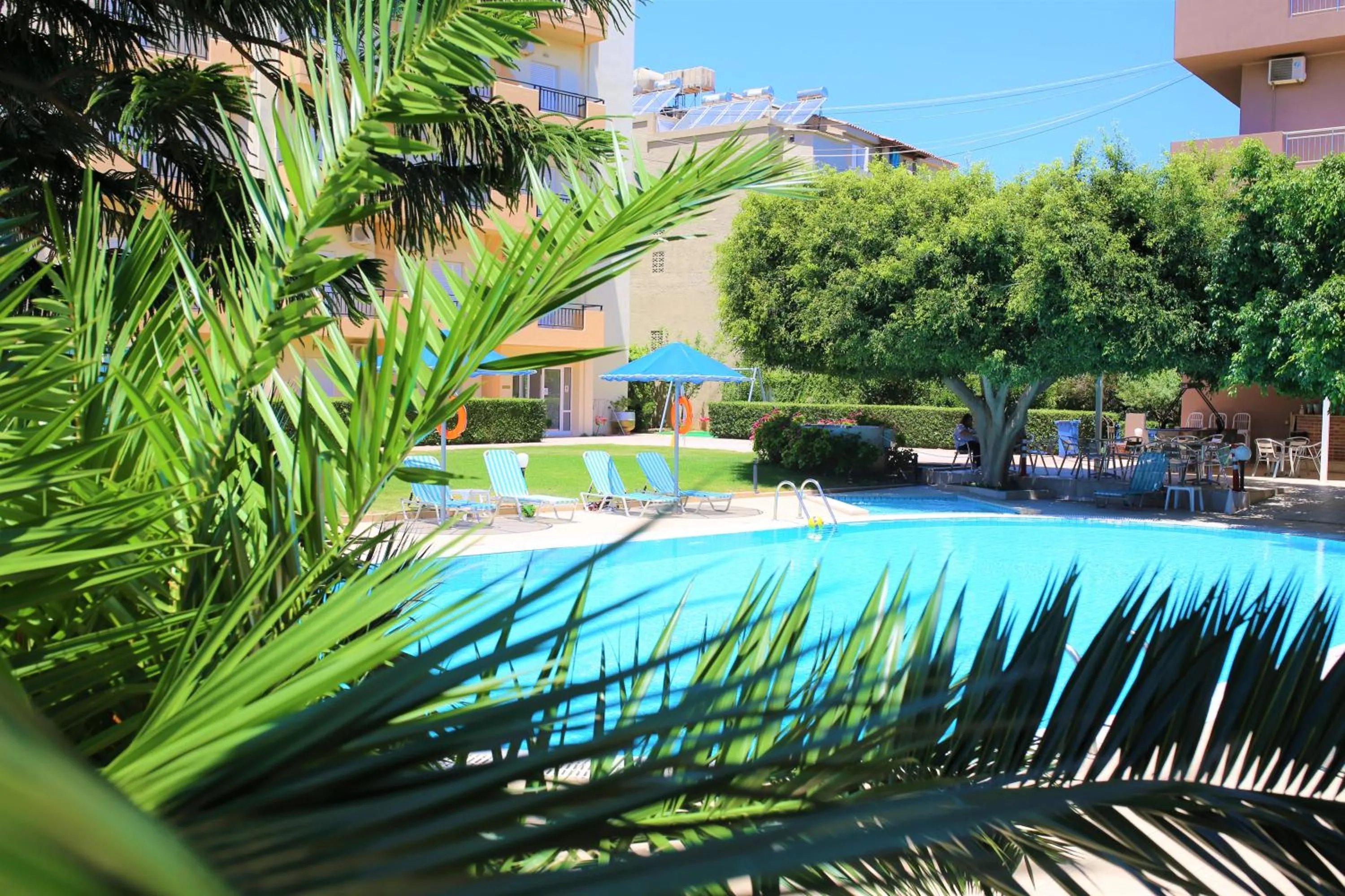 Garden in Castro Hotel