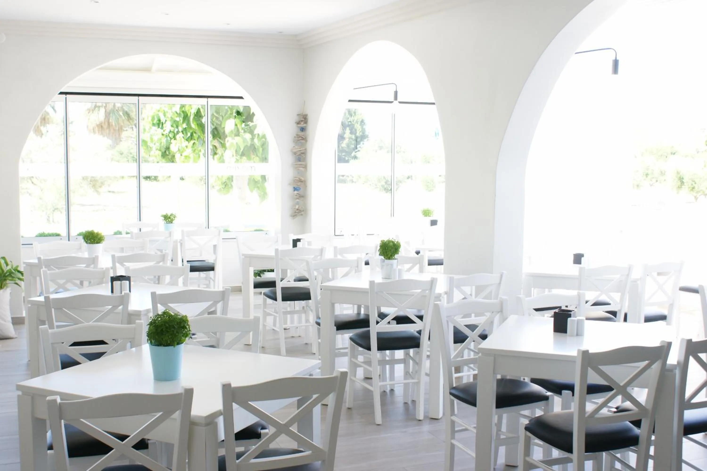 Restaurant/places to eat in Castro Hotel