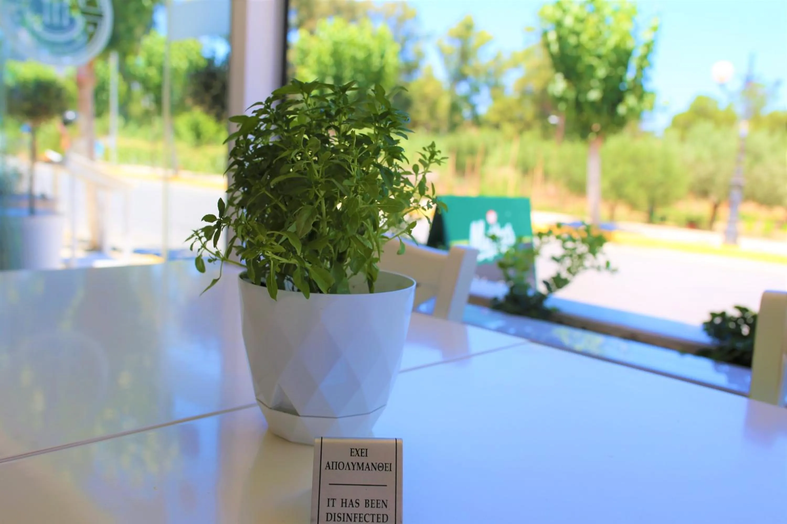 Meals in Castro Hotel