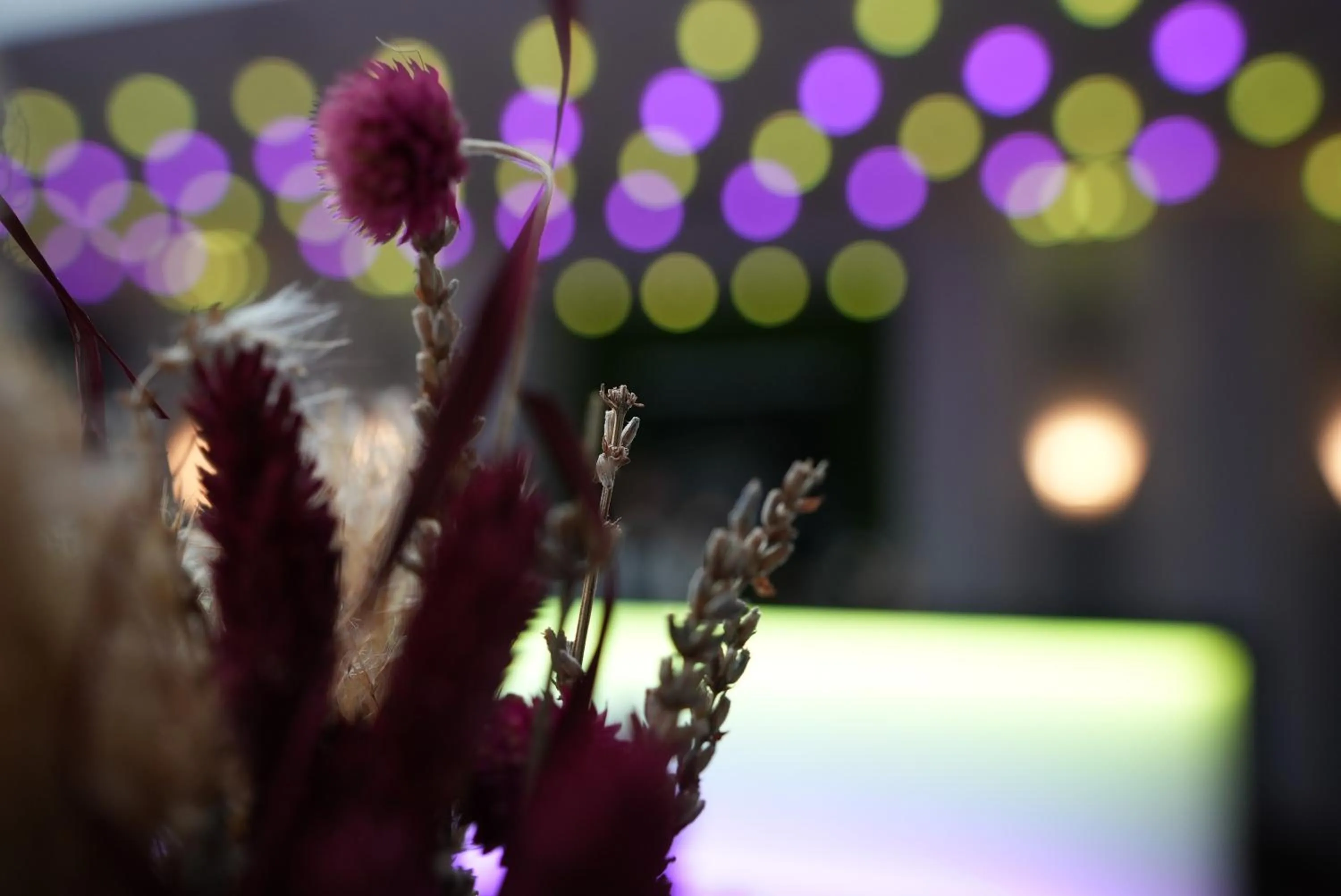 Property building in Boutique Kaiser - Hotel & Apartments