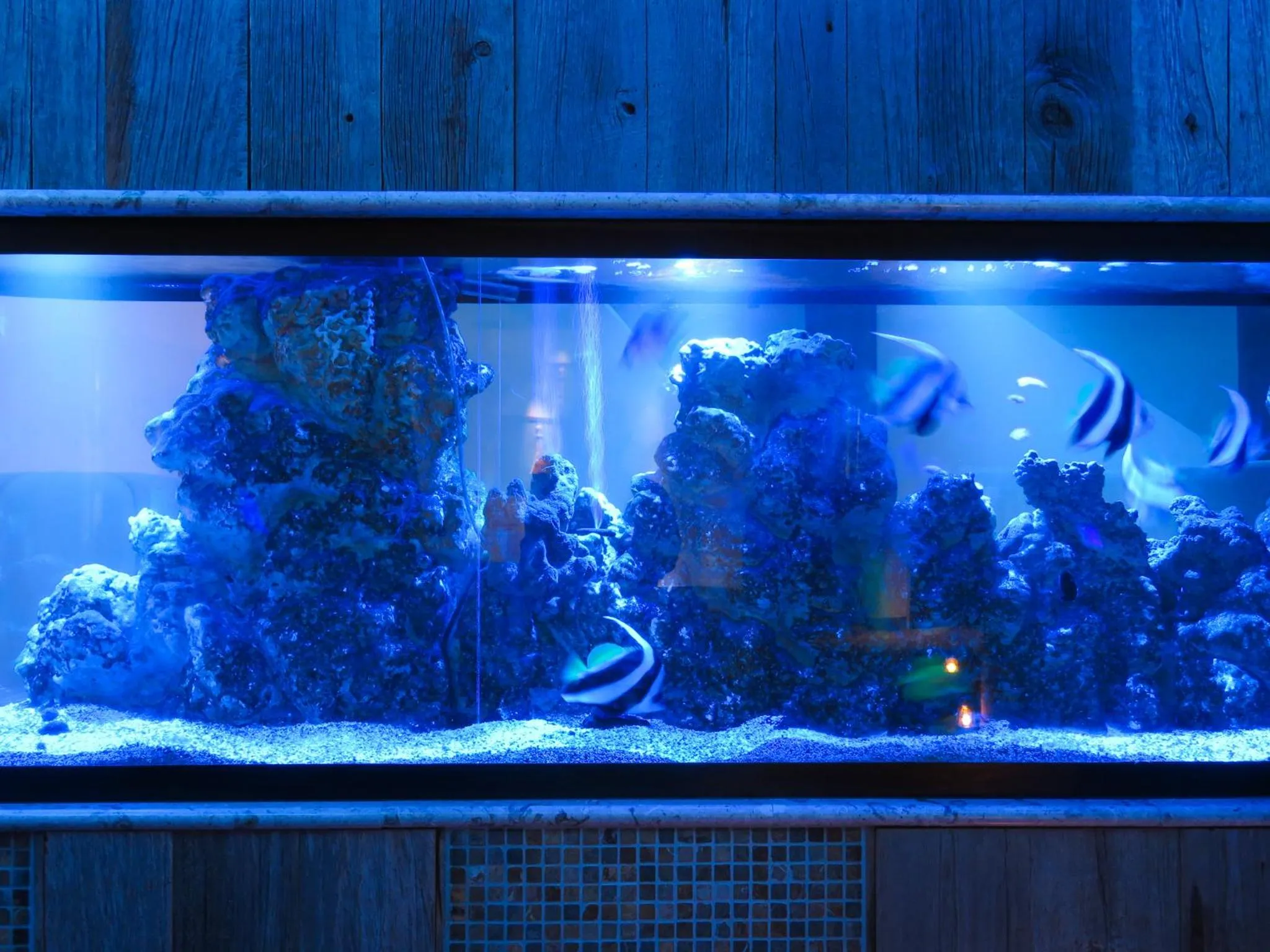 Aqua park in THE skM TOKYO HOTEL & DINING