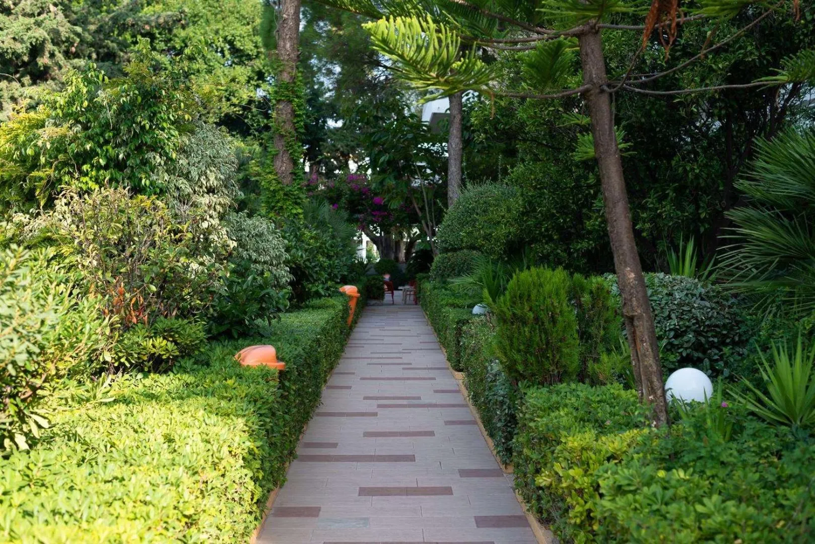 Garden in Dionysos Hotel
