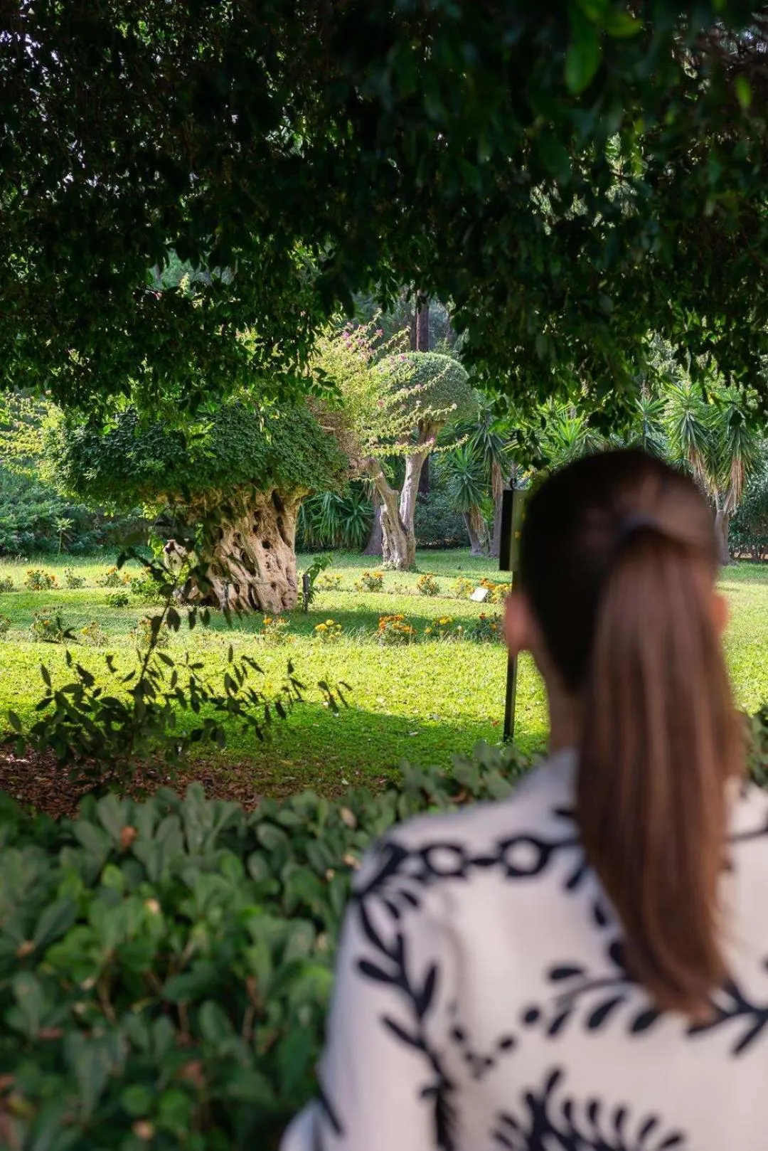 Garden in Dionysos Hotel