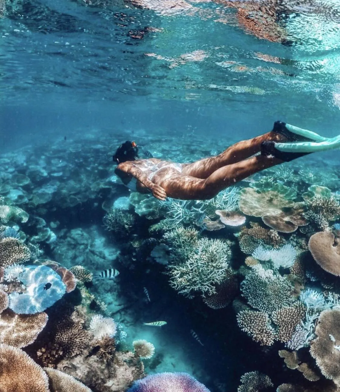 Snorkeling in Oceana Inn Maldives -50 Percent off on Return Domestic Flights for Stays of 3 Nights or More