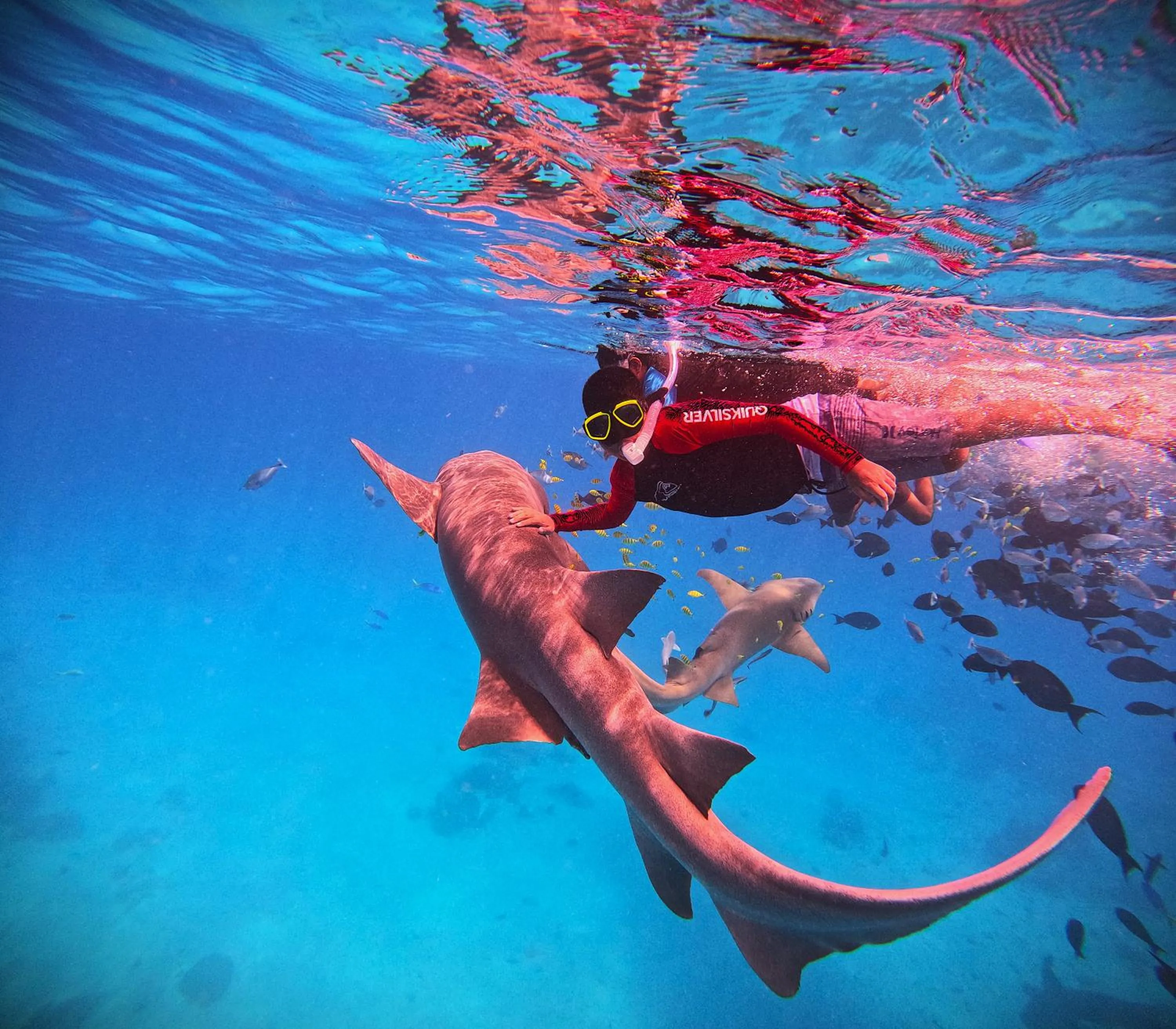 Snorkeling in Oceana Inn Maldives -50 Percent off on Return Domestic Flights for Stays of 3 Nights or More