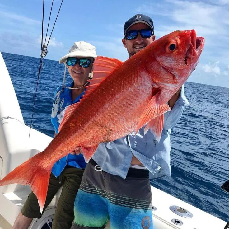 Fishing in Oceana Inn Maldives -50 Percent off on Return Domestic Flights for Stays of 3 Nights or More