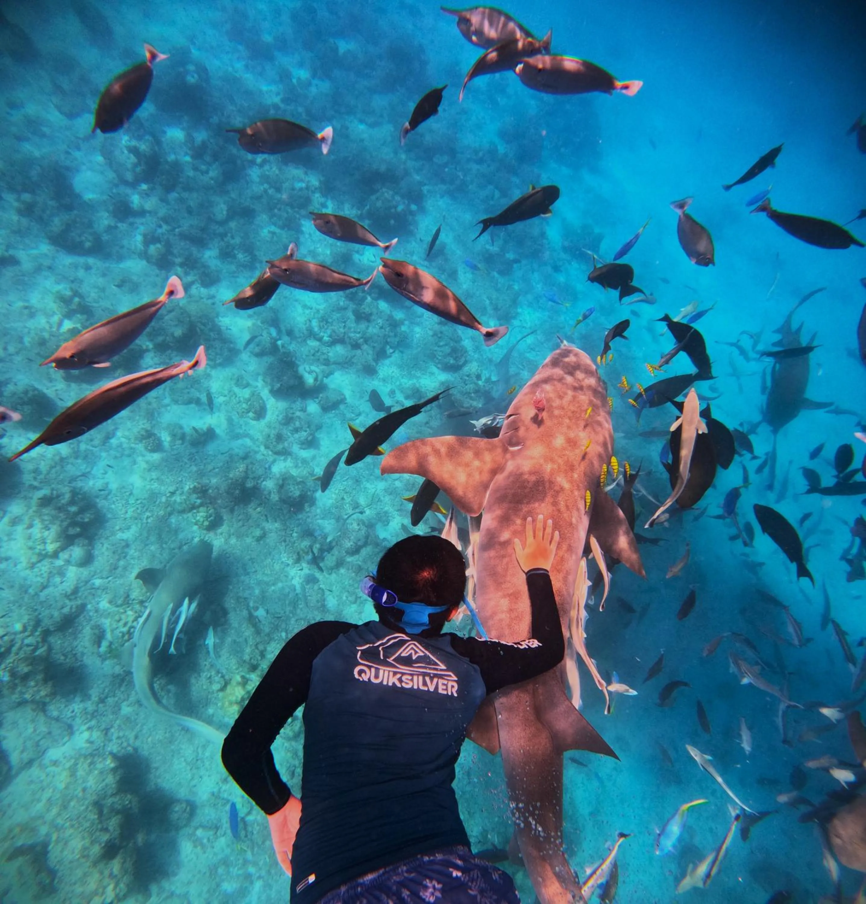 Snorkeling in Oceana Inn Maldives -50 Percent off on Return Domestic Flights for Stays of 3 Nights or More