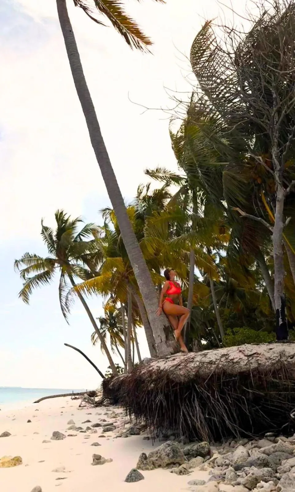 Spring in Oceana Inn Maldives -Free airport assistance at both international and domestic airports