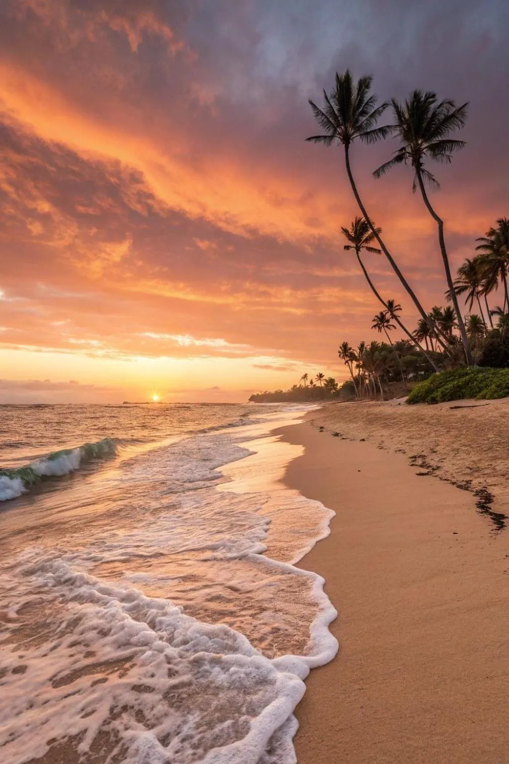 Sunset in Oceana Inn Maldives -50 Percent off on Return Domestic Flights for Stays of 3 Nights or More