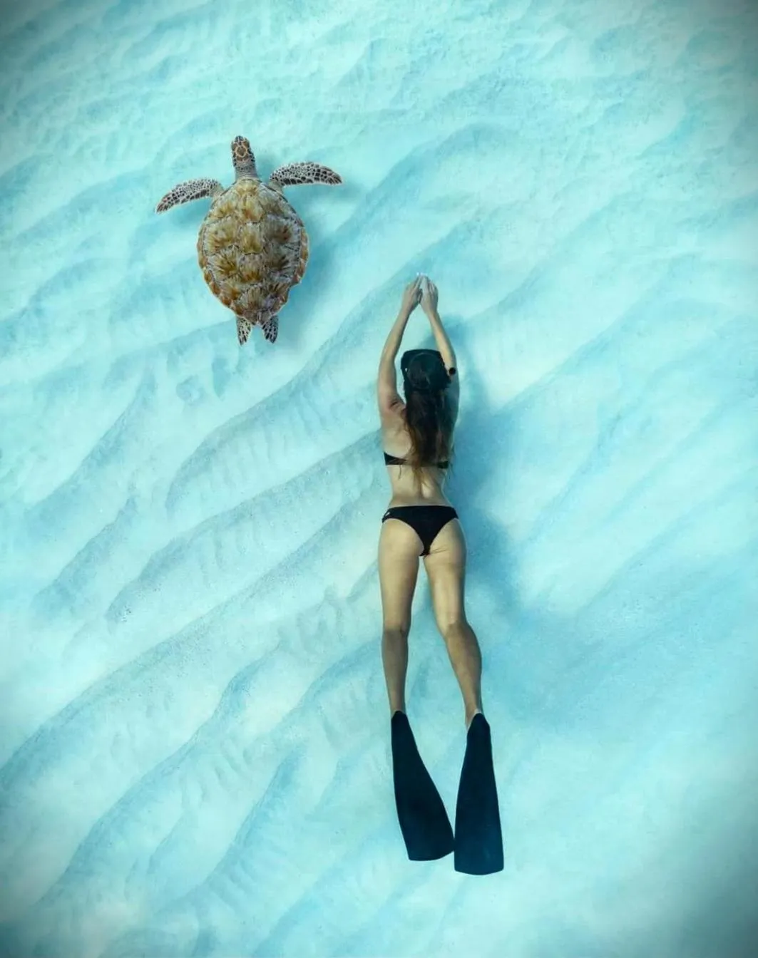 Snorkeling in Oceana Inn Maldives -50 Percent off on Return Domestic Flights for Stays of 3 Nights or More