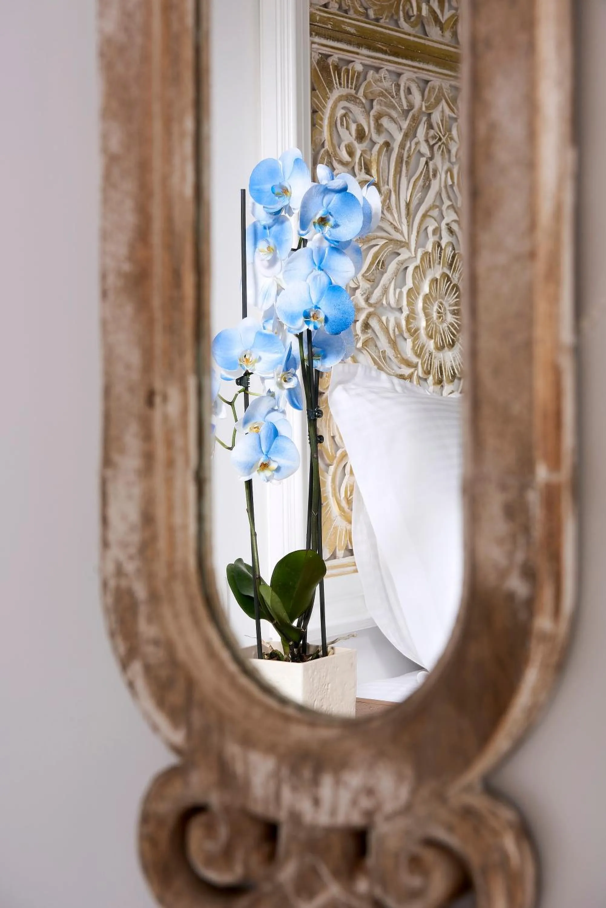 Decorative detail in Mythos Palace Resort & Spa