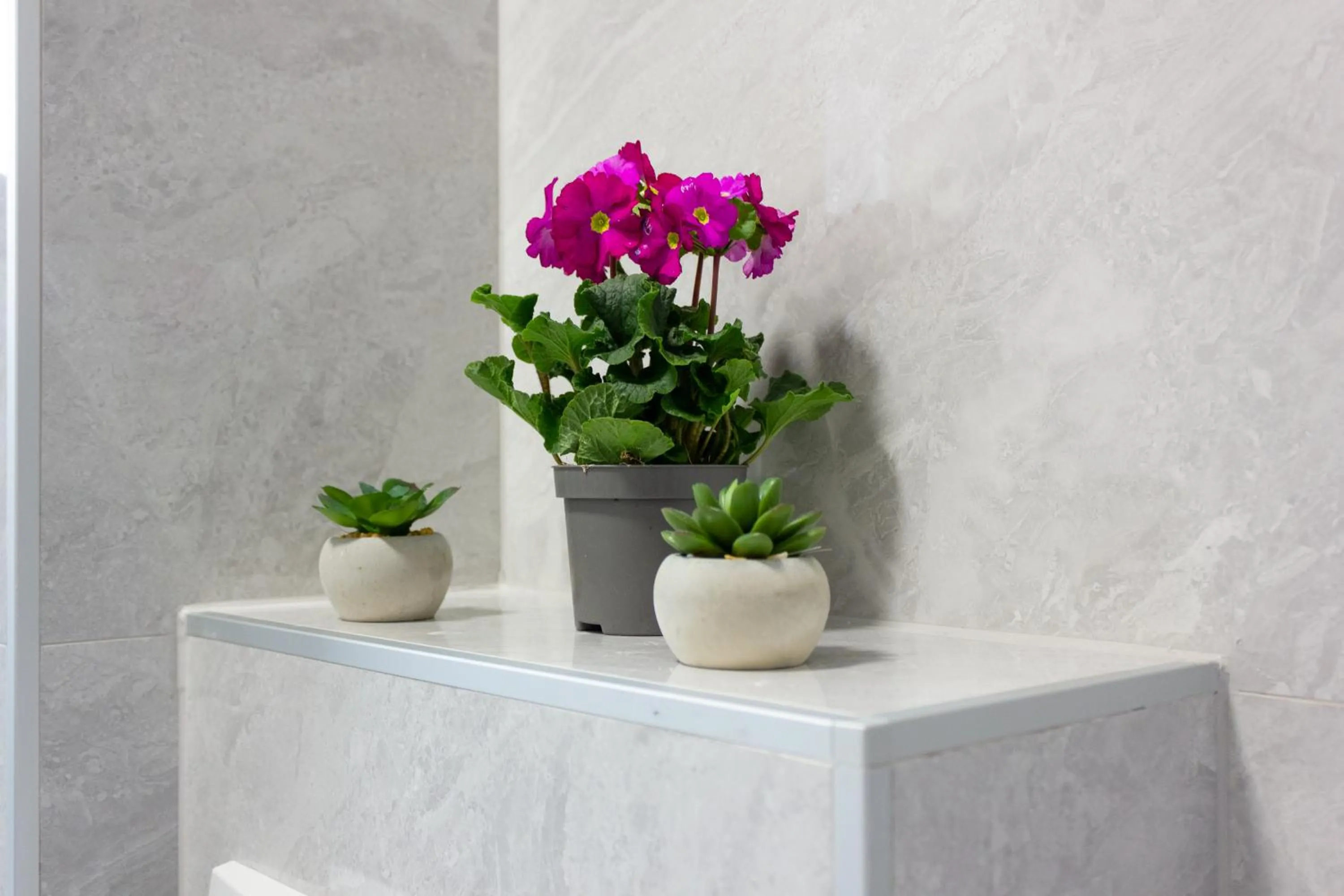 Luxury Apartment Petra