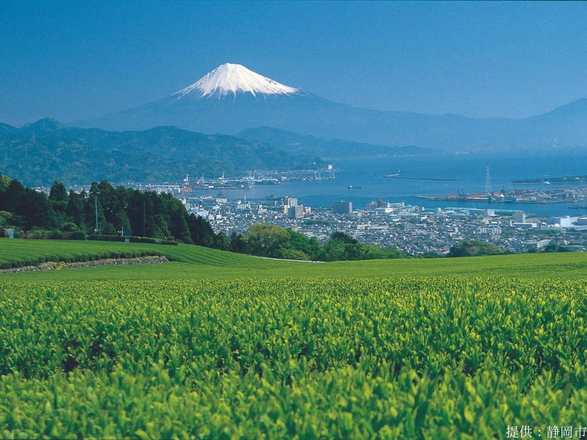 Nearby landmark in KOKO HOTEL Shizuoka - formerly Hotel Wing International Shizuoka