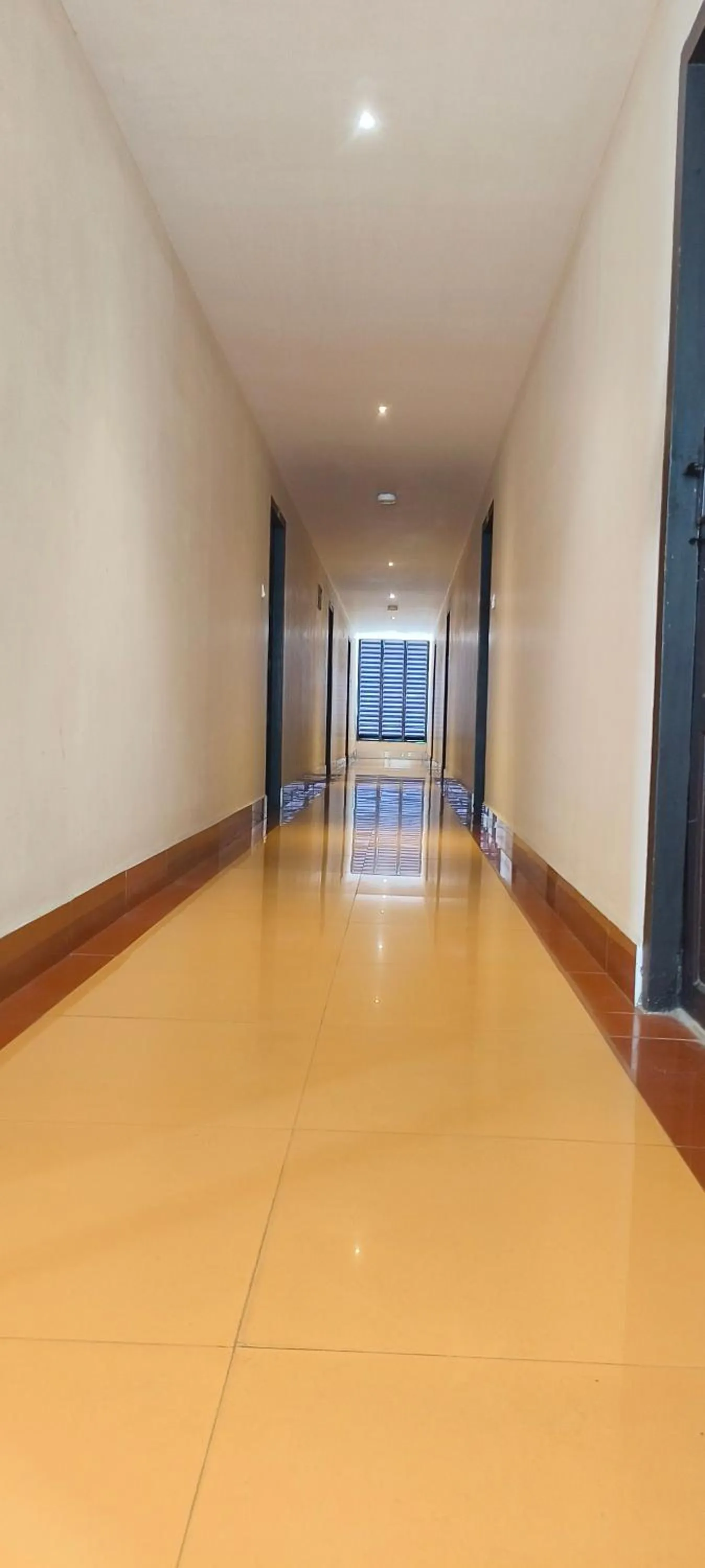 Property building in HOTEL PIONEER PARADISE