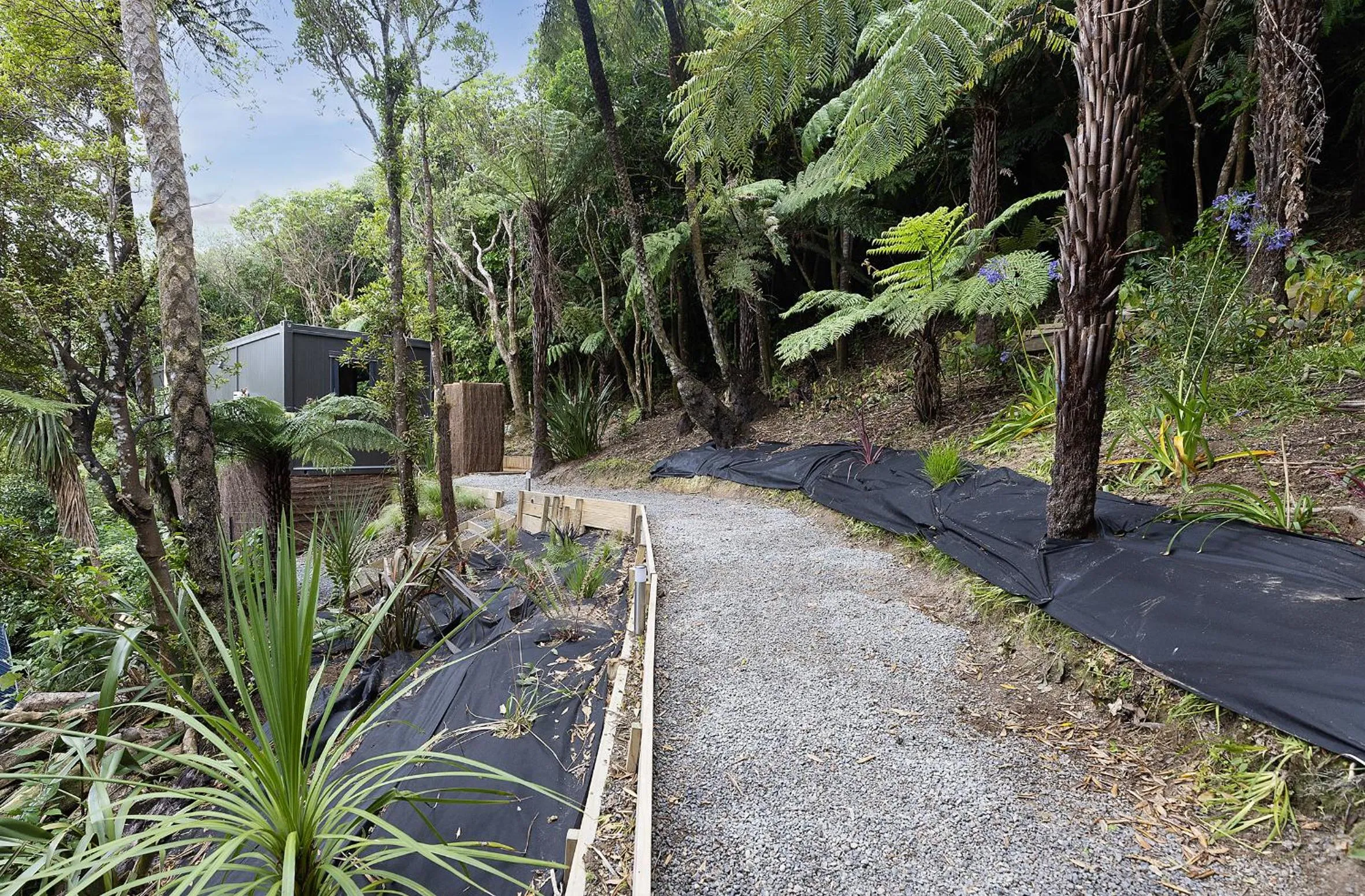 View (from property/room) in 2 Peas In A Pod