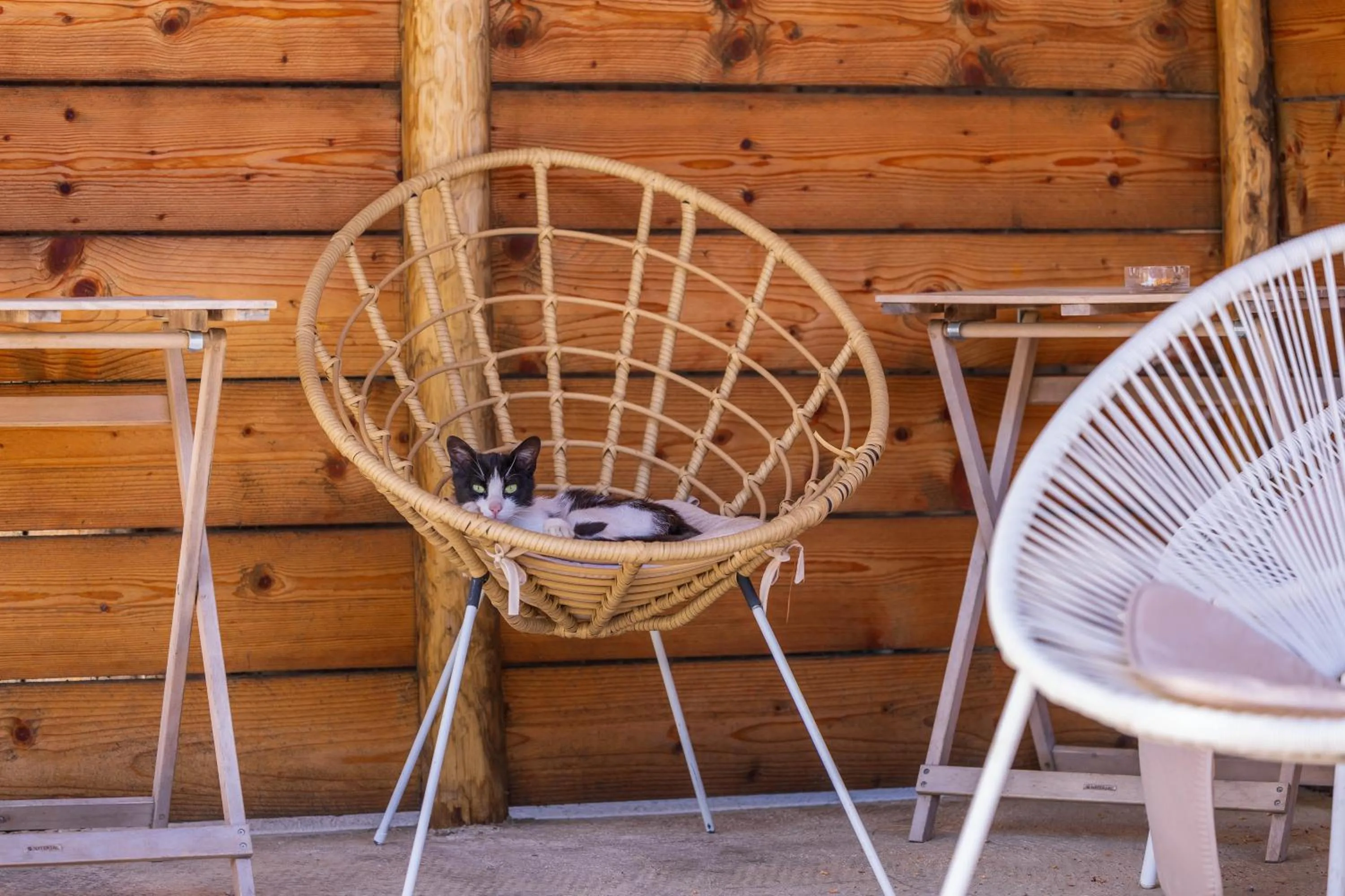 Patio in Campanile Arles