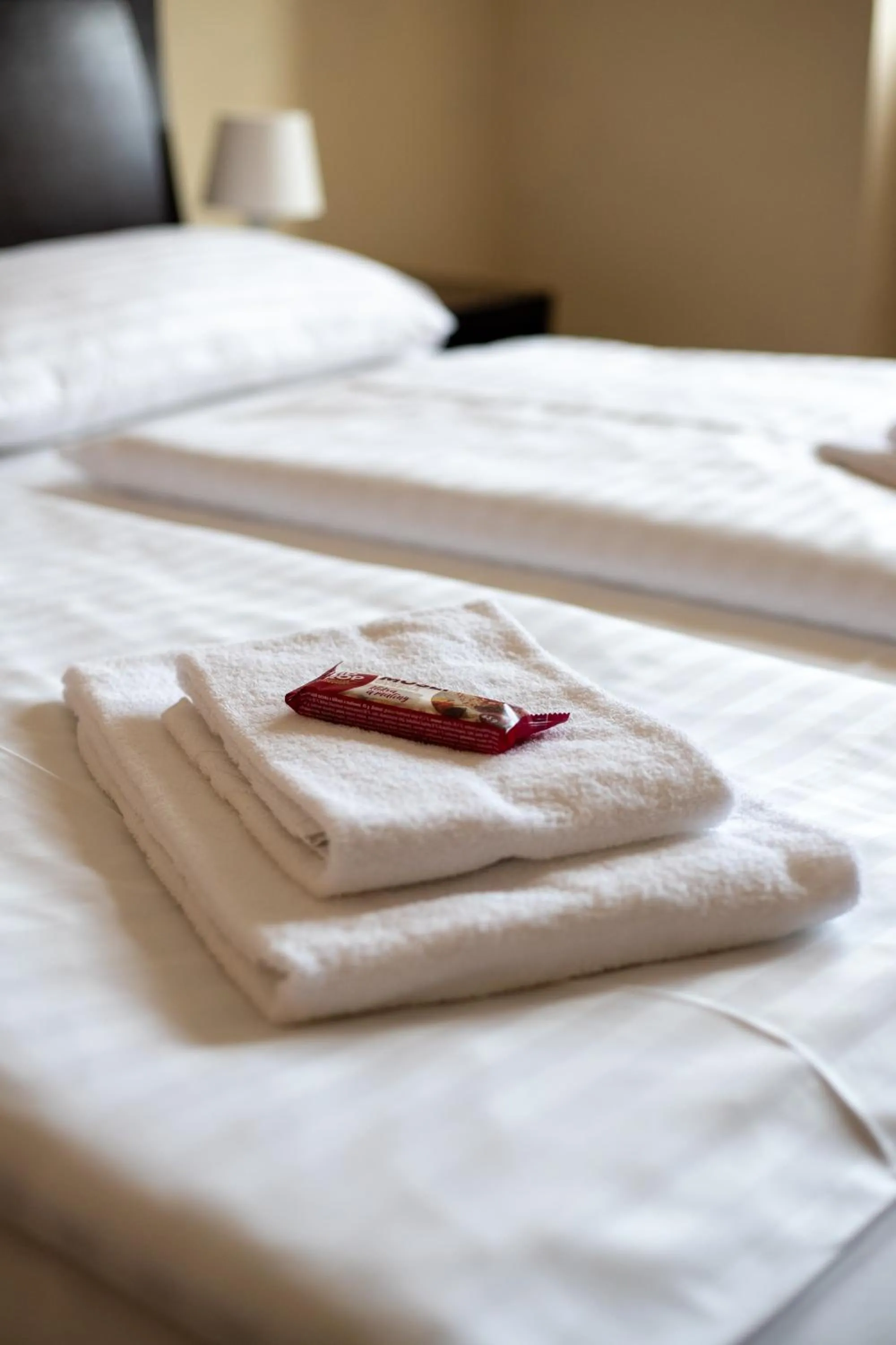 Bed in Hotel Prácheň