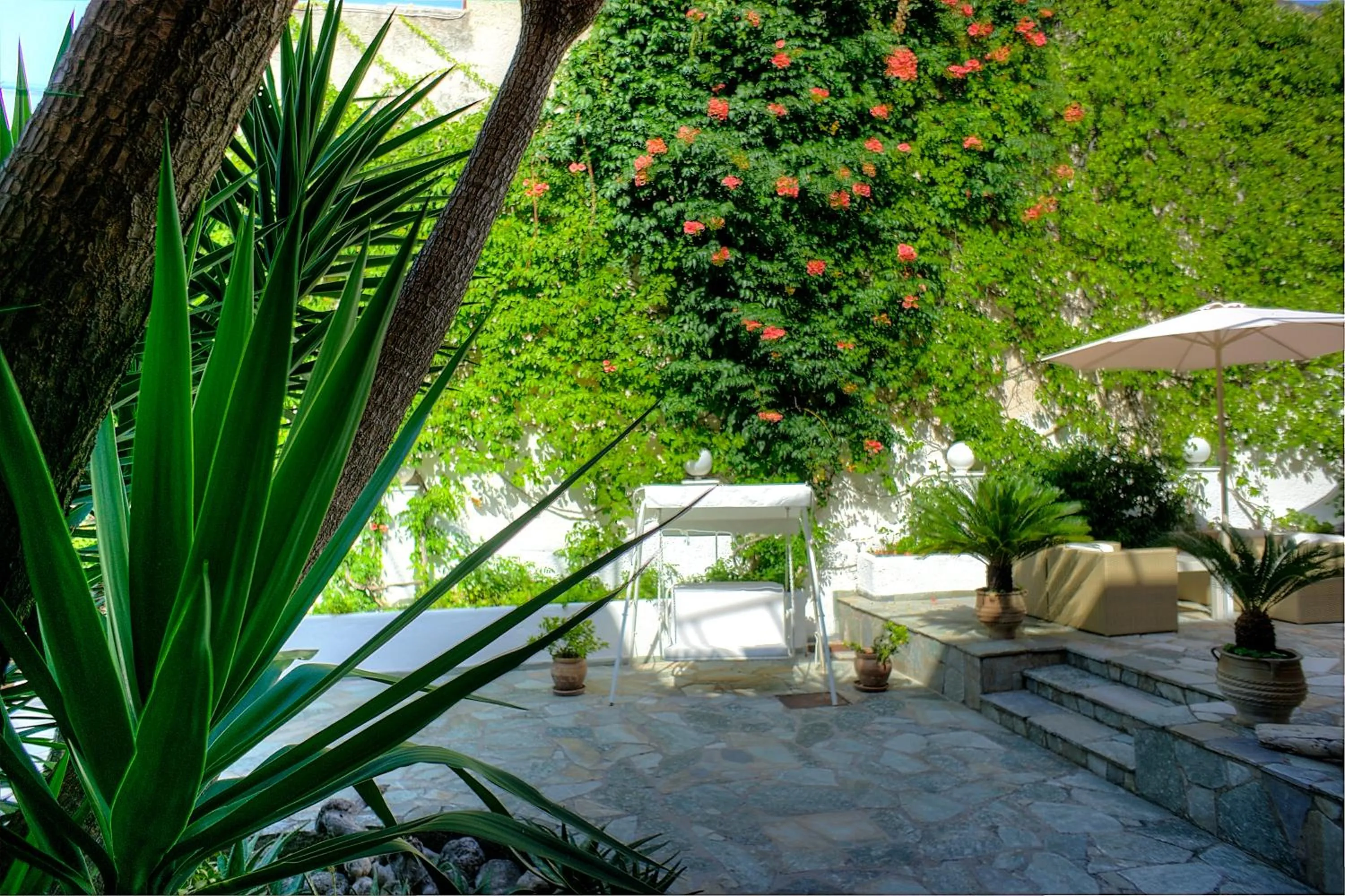 Garden in Hotel Benitses Arches