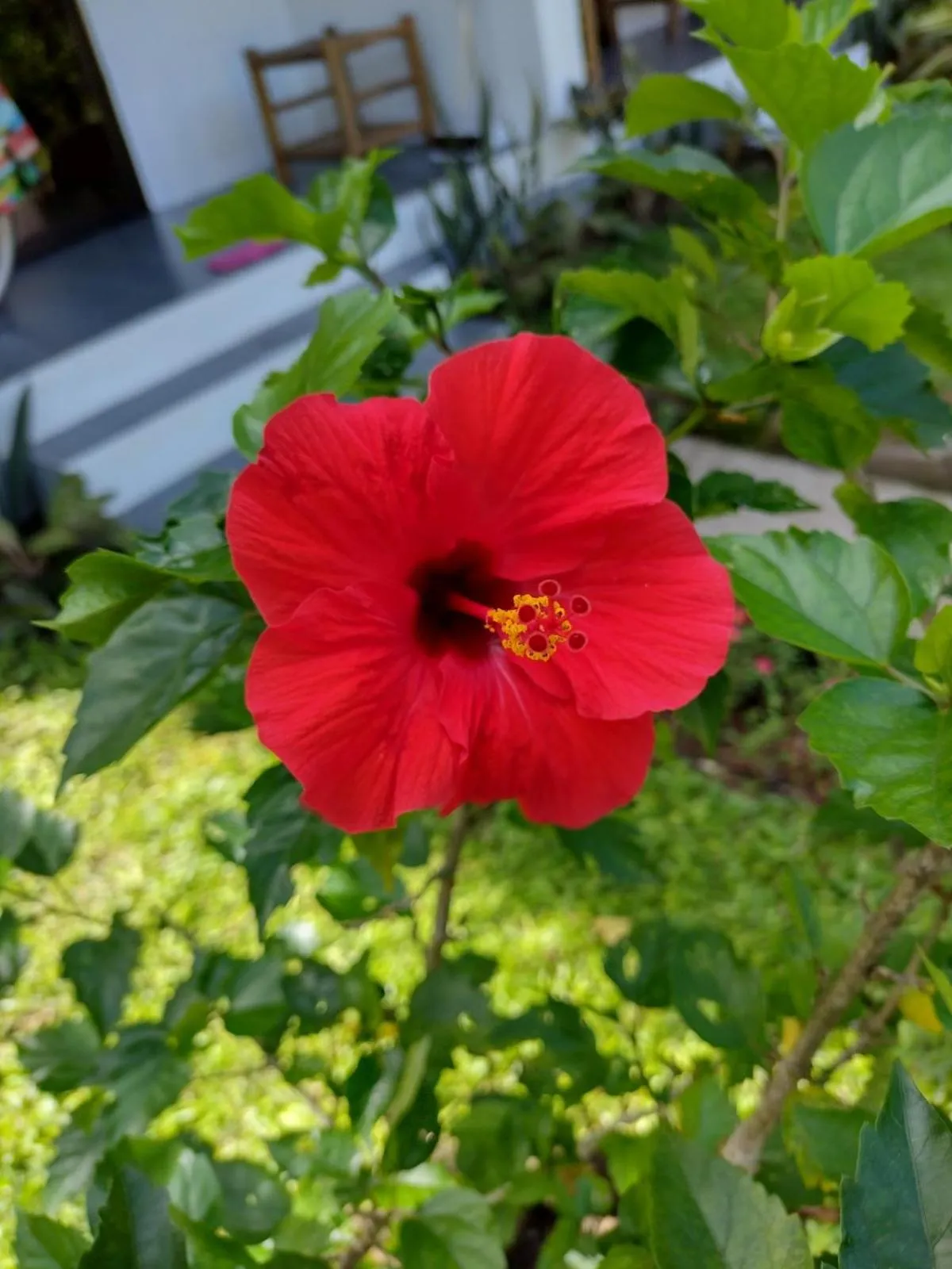 Happy Coconut Camiguin