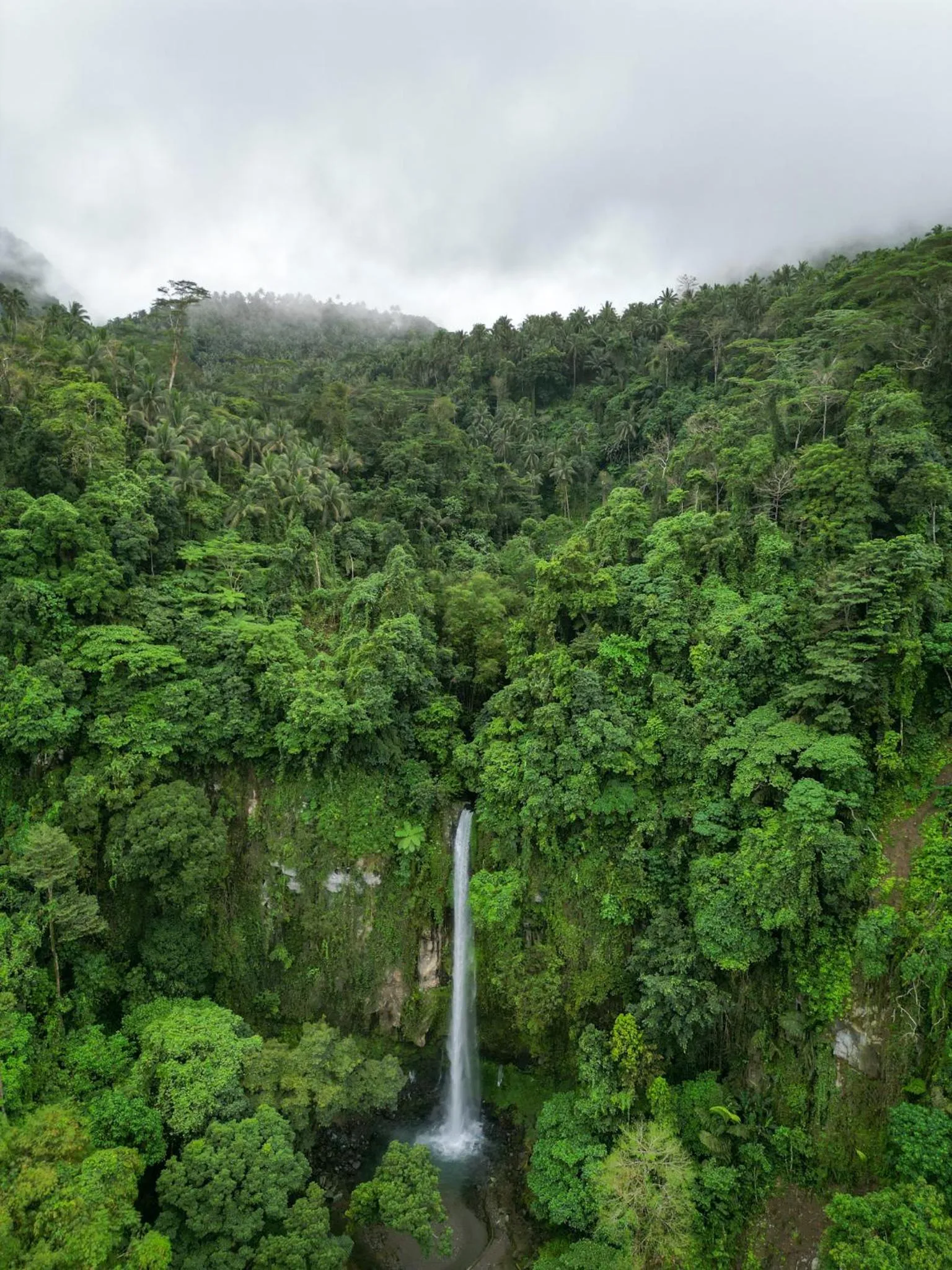 Natural landscape in Happy Coconut Camiguin