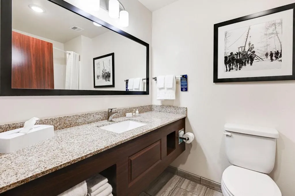 Bathroom in Cobblestone Hotel & Suites - Mosinee