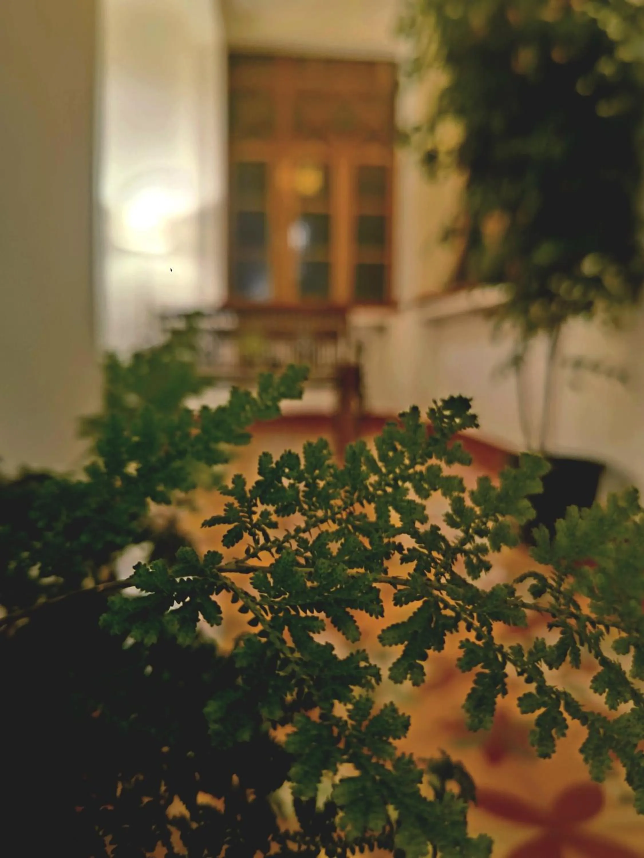 Property building in Marari Beach Bungalow Resort Alleppey