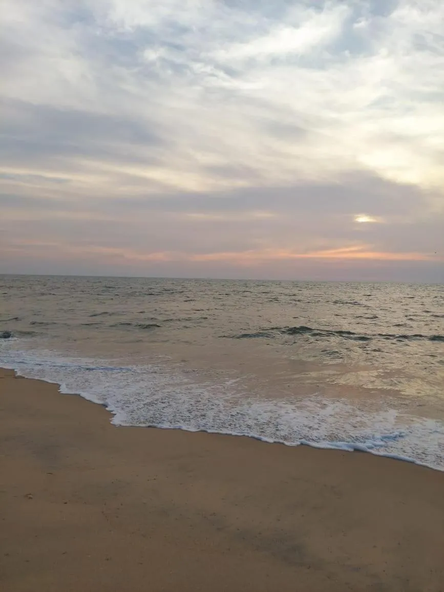 Day in Marari Beach Bungalow Resort Alleppey