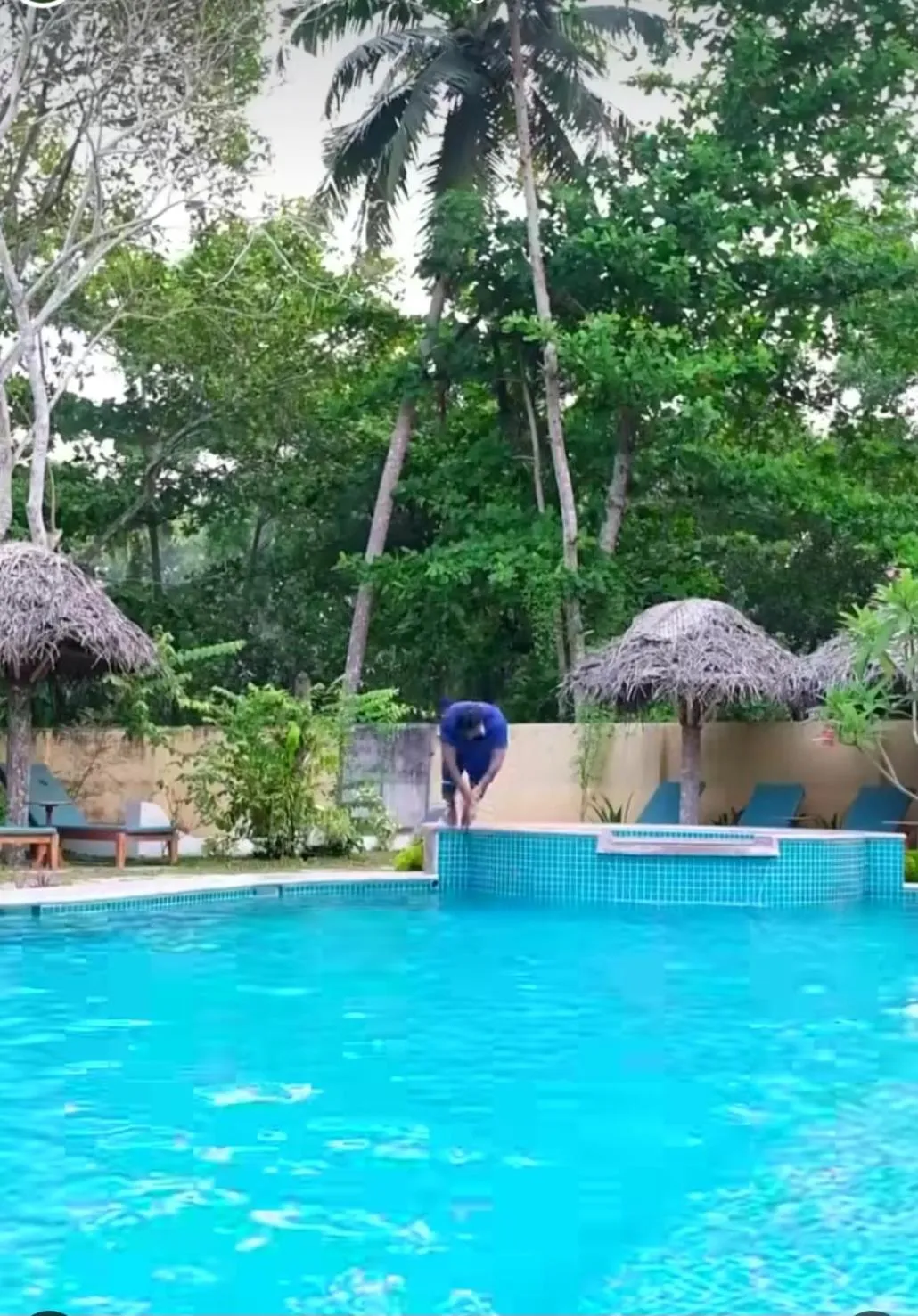 Natural landscape in Marari Beach Bungalow Resort Alleppey