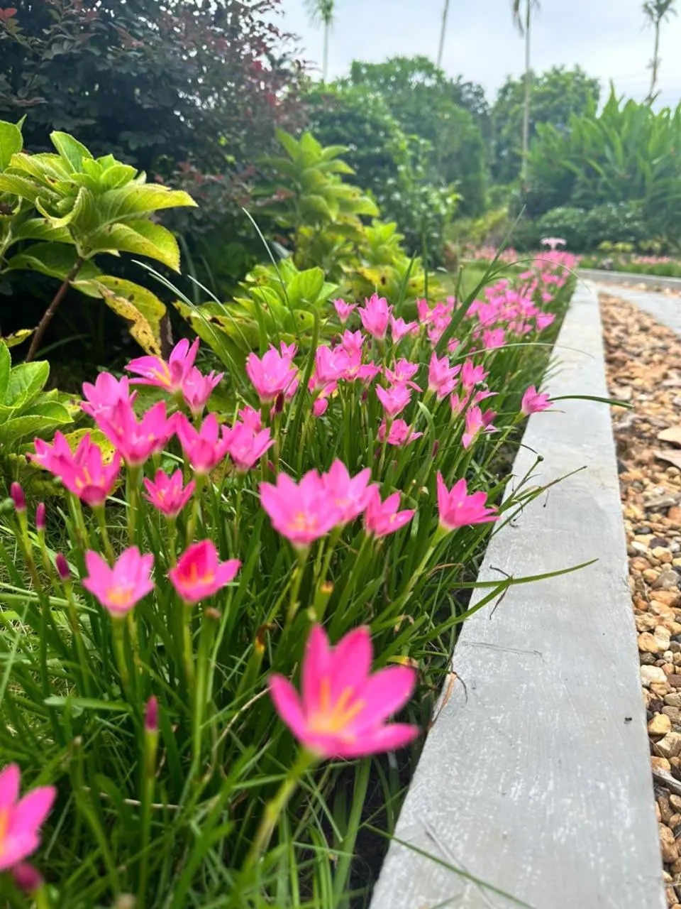 TRA LINH HOTEL & RESTAURANTs