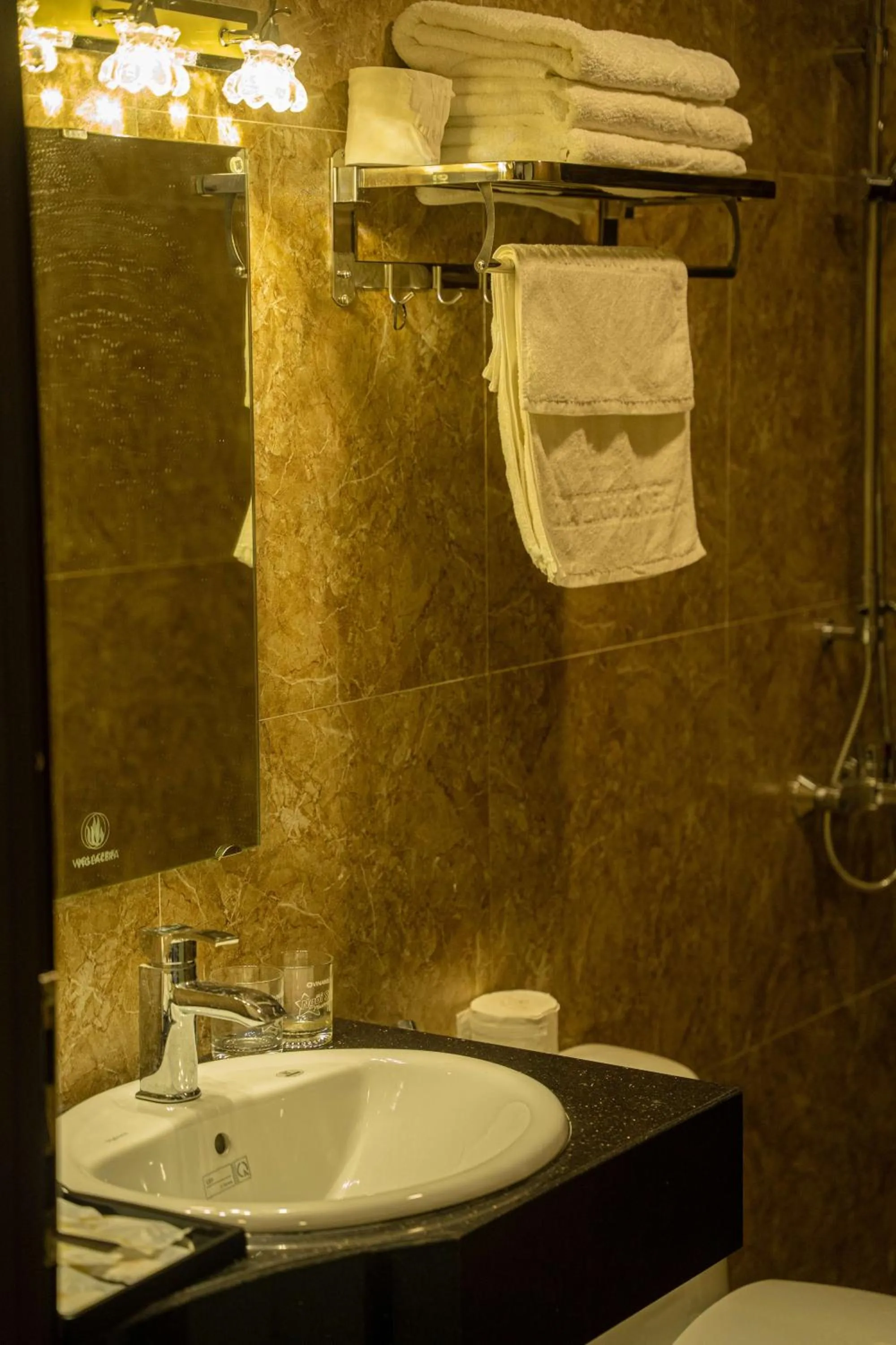 Shower in TRA LINH HOTEL & RESTAURANTs