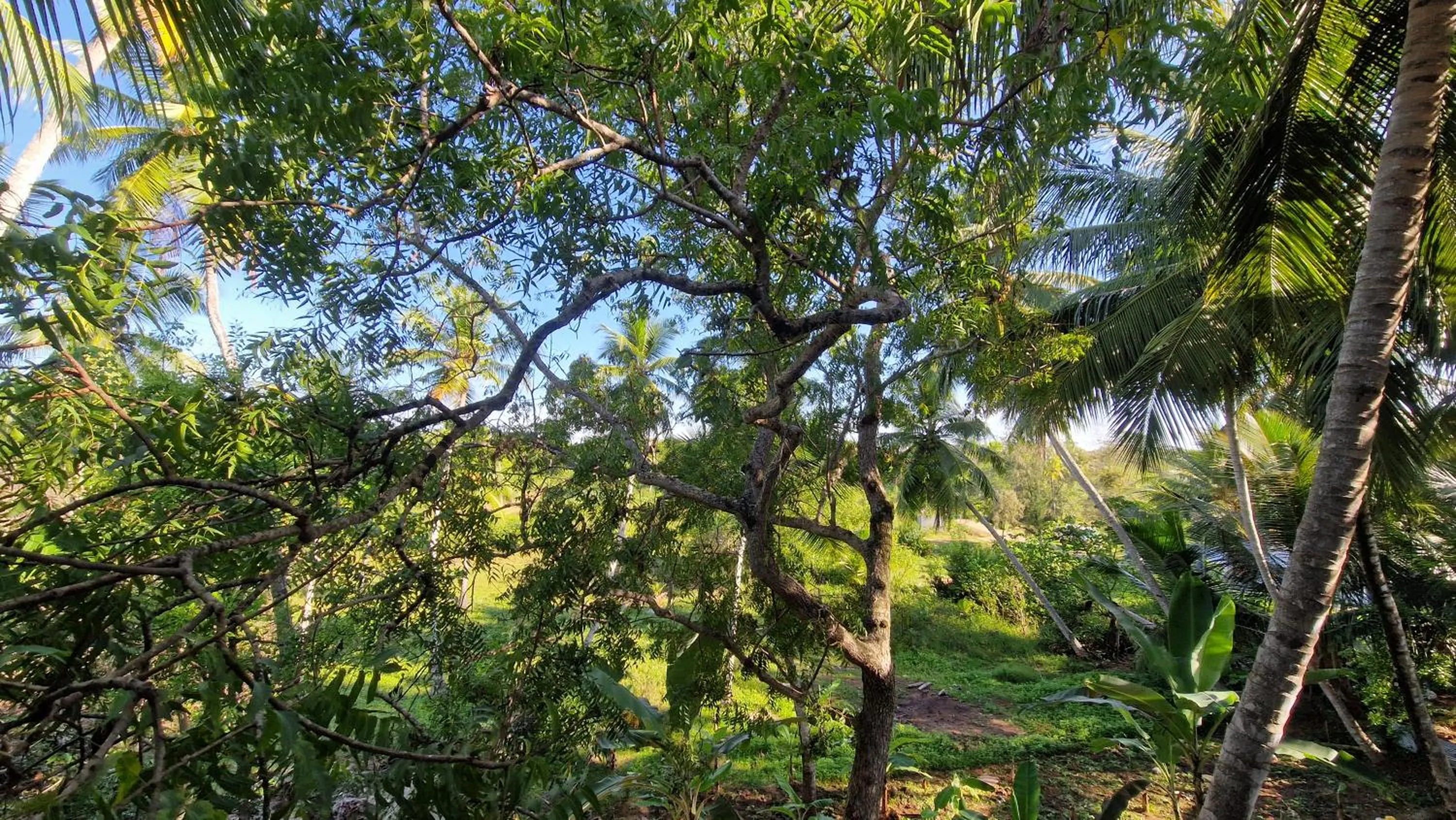 View (from property/room) in Mothership