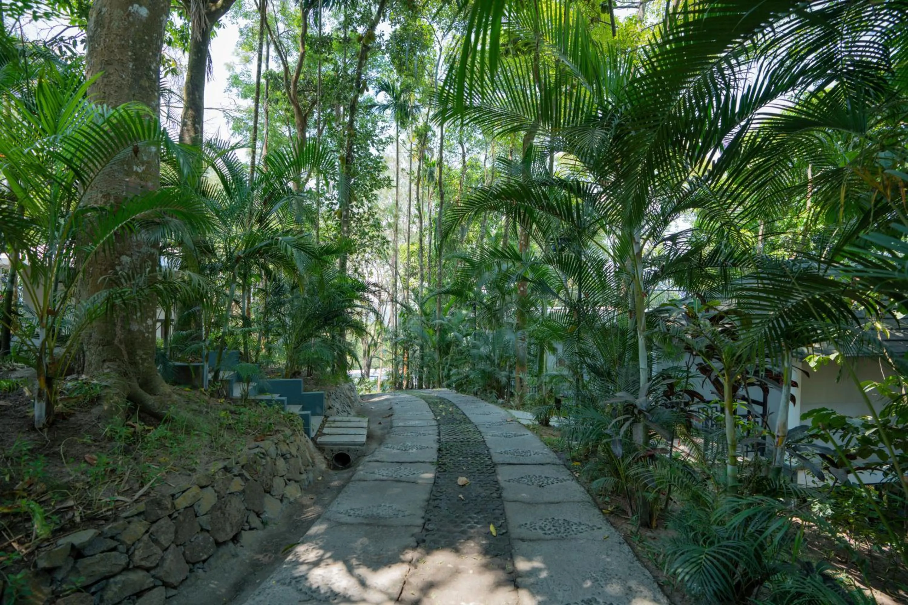 Property building in The Hive, Wayanad