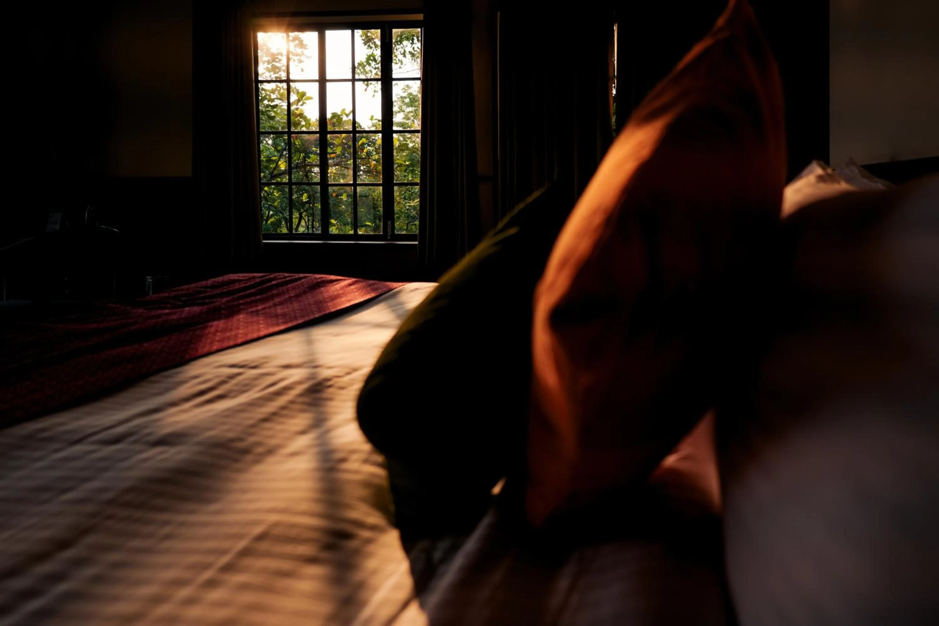 Bed in The Hive, Wayanad