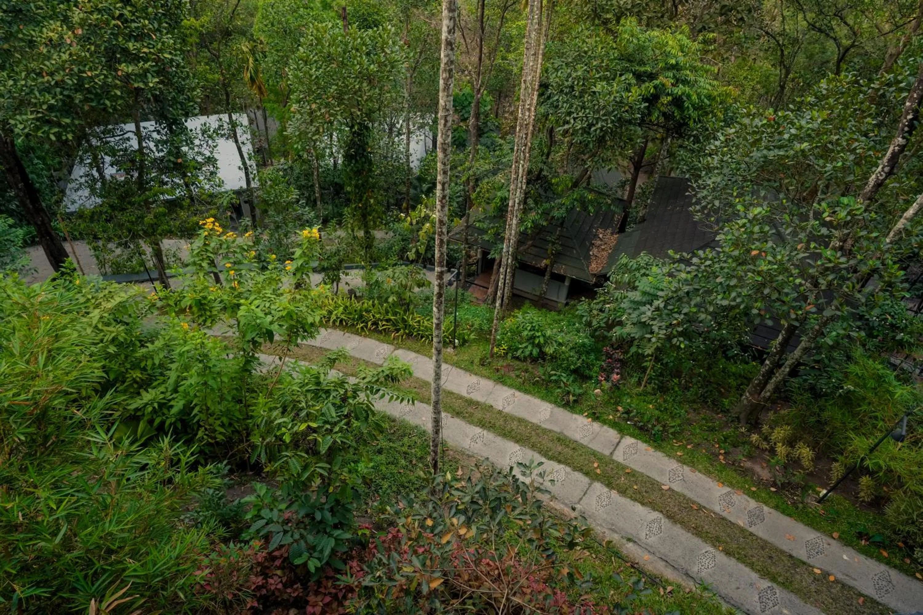 Garden in The Hive, Wayanad