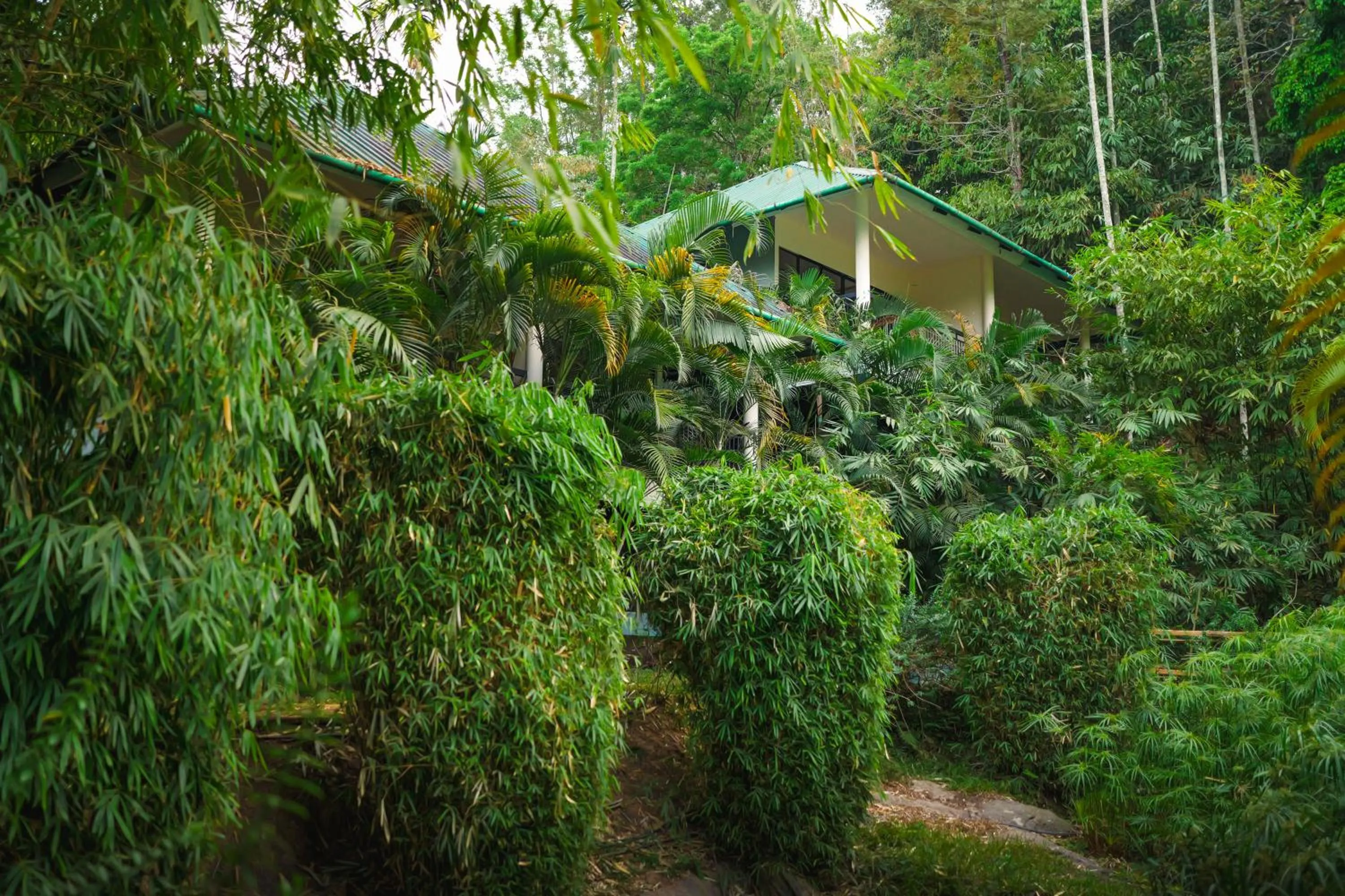 Garden in The Hive, Wayanad