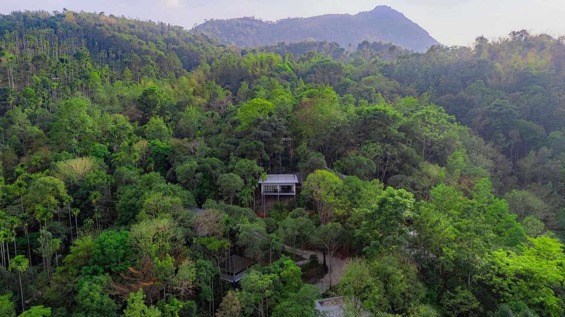 View (from property/room) in The Hive, Wayanad