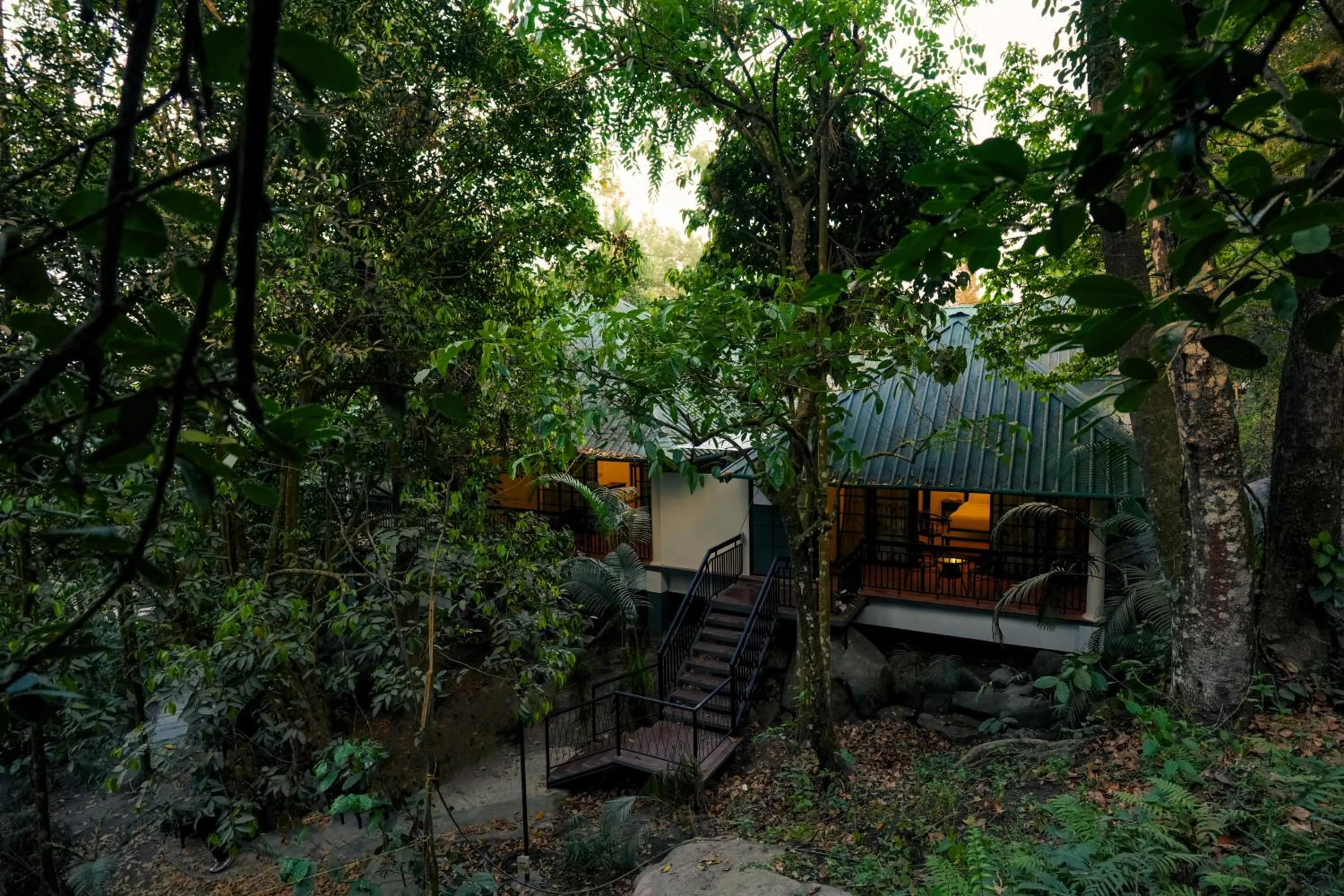 Garden in The Hive, Wayanad