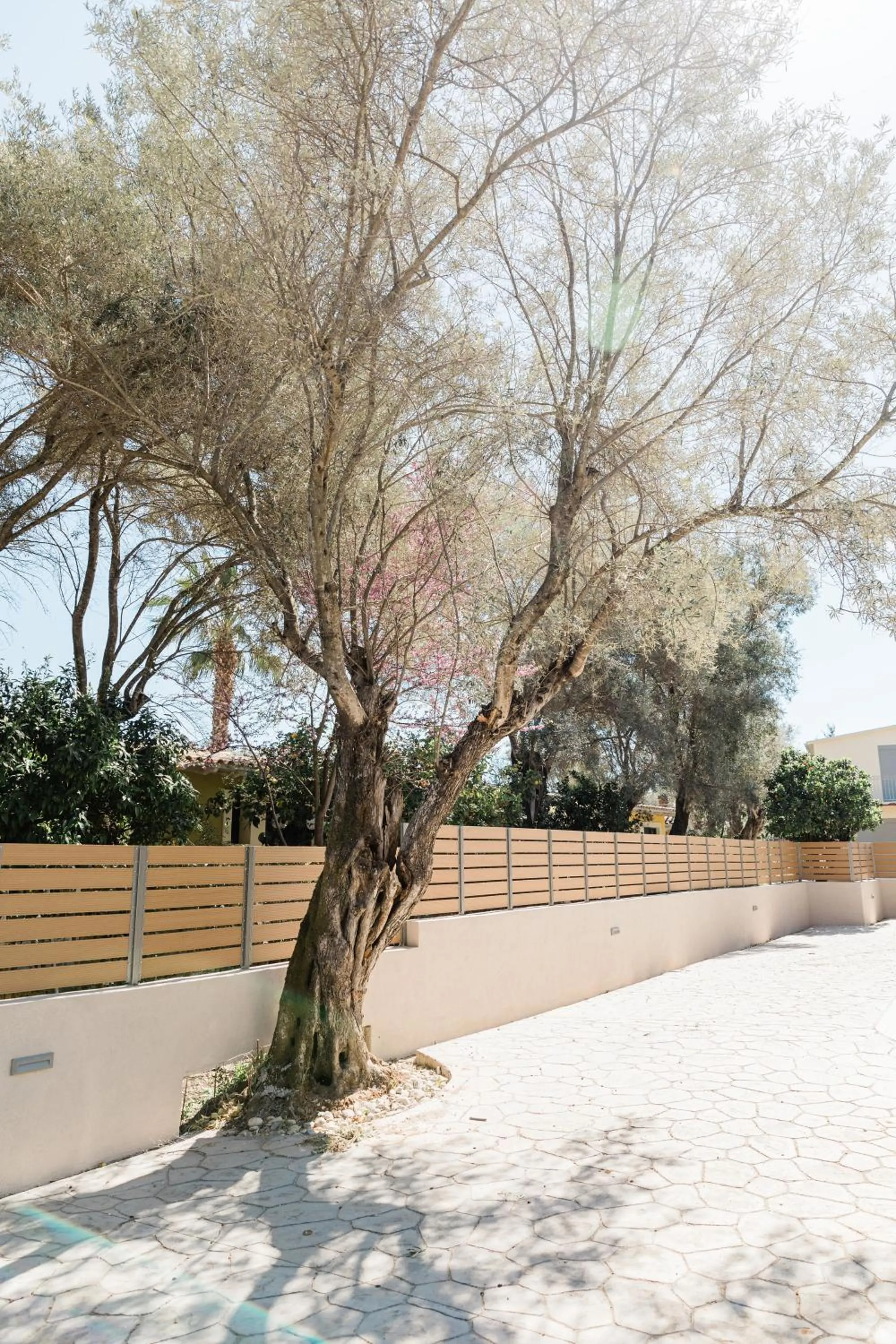 Day in Seadrop Suites